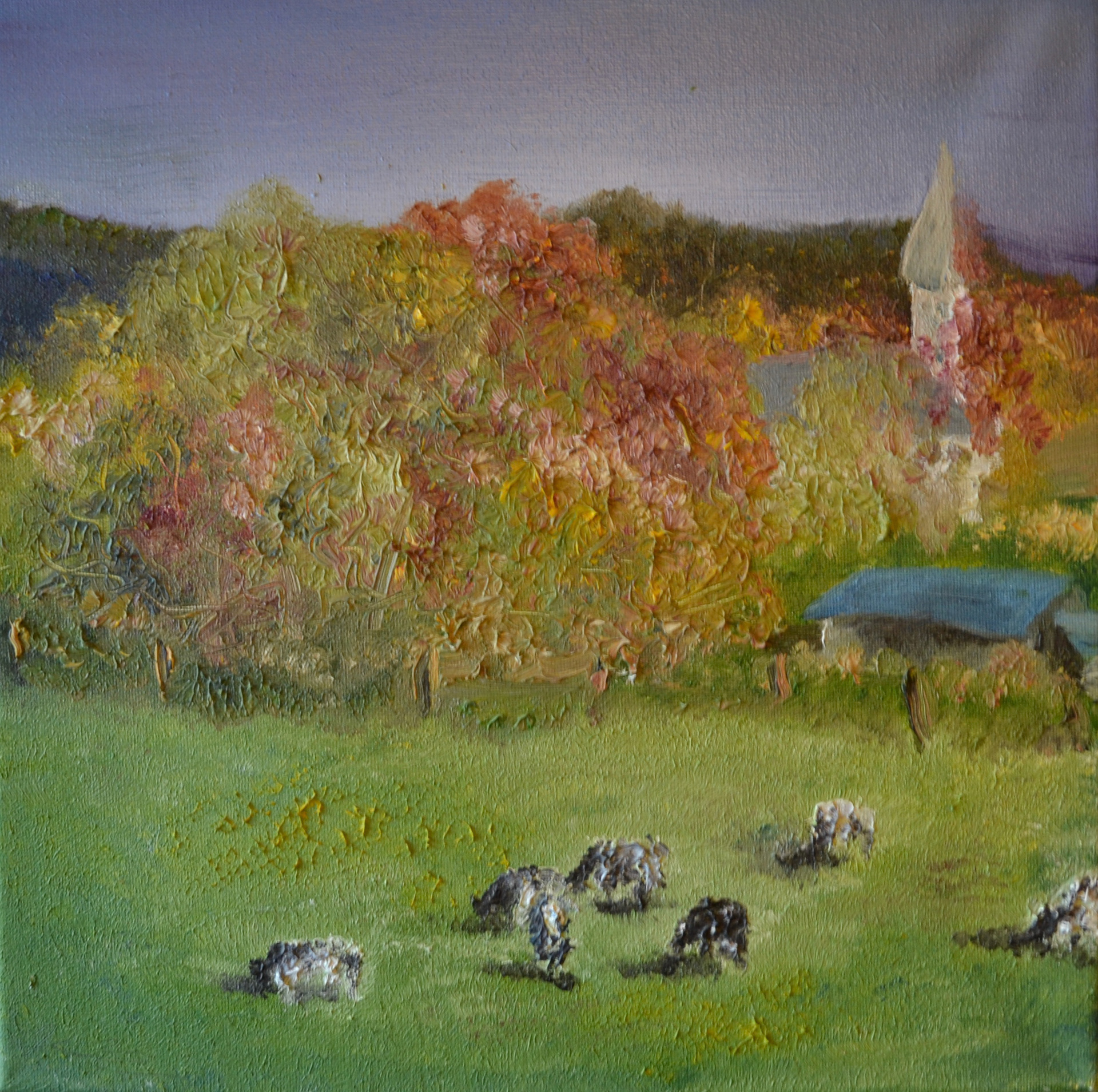 The Cozy Cow Fields