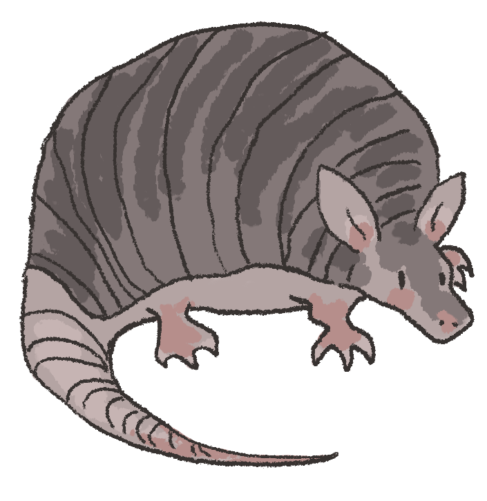 Armadillo
