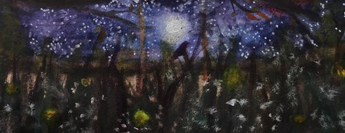 A Field of Moonlight