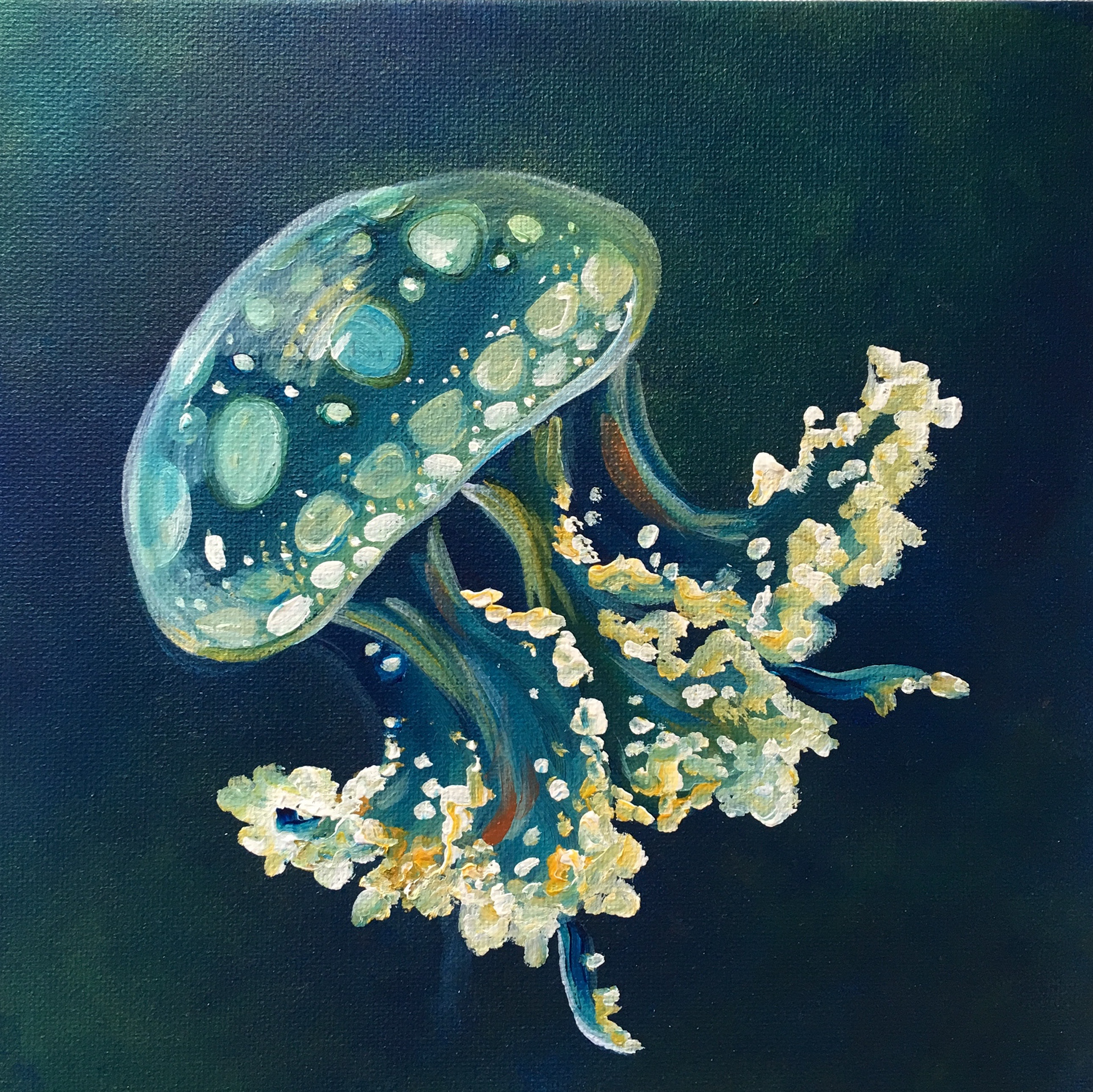 White-spotted jellyfish