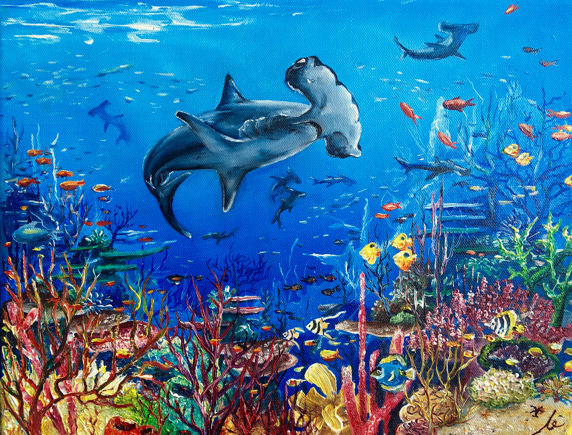 Scalloped Hammerhead