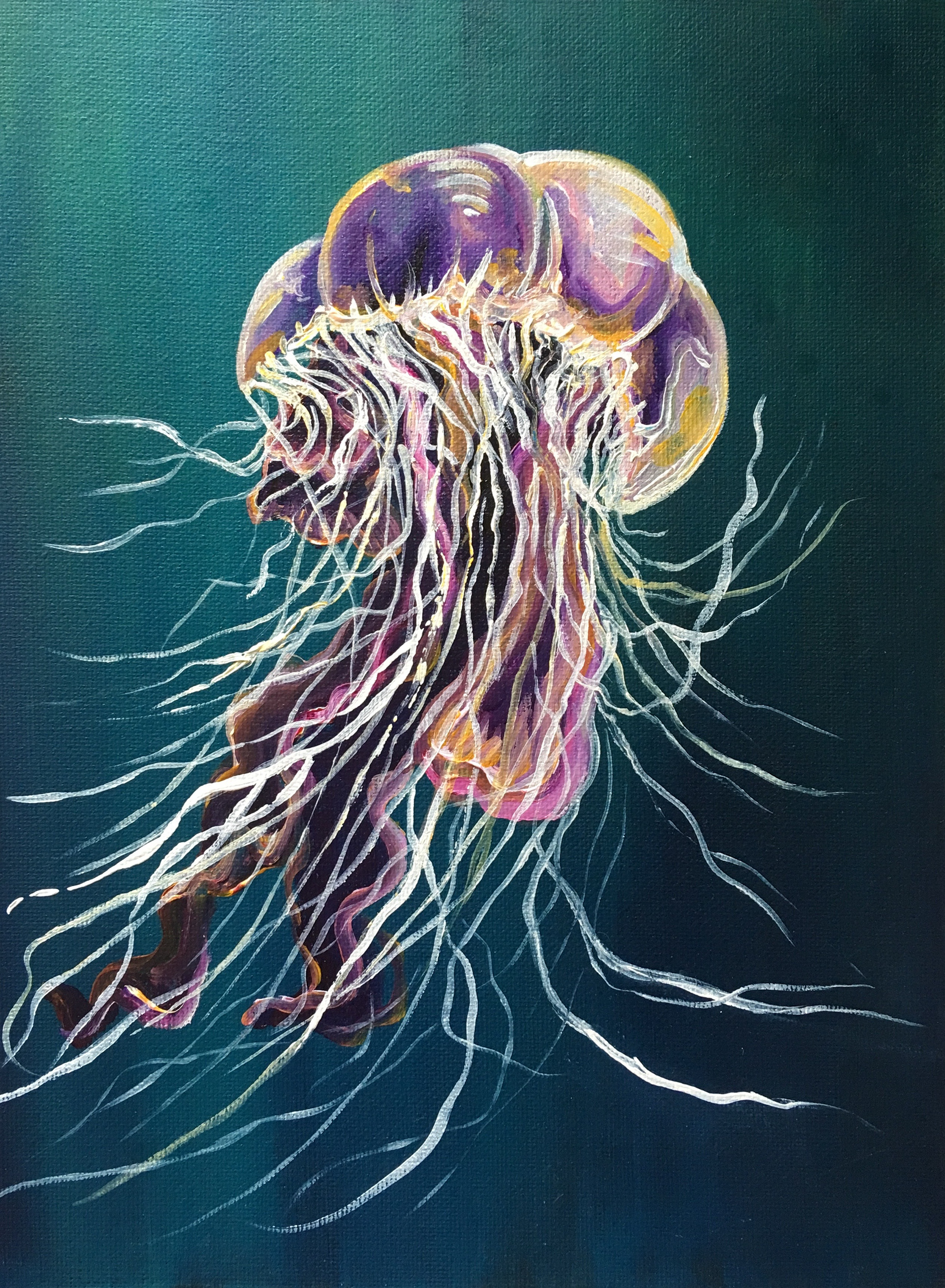 Lion's Mane jellyfish