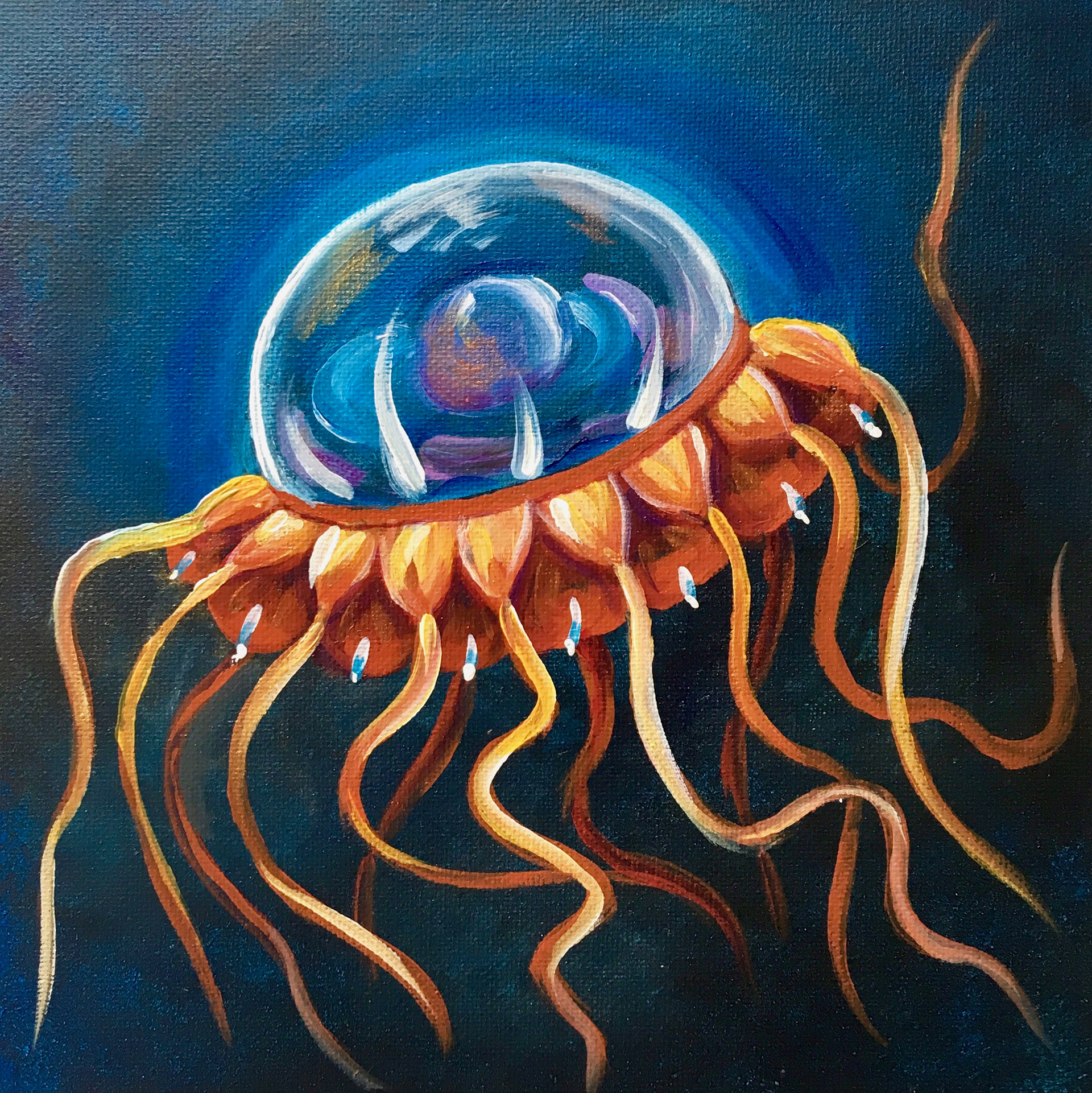 Atolla jellyfish
