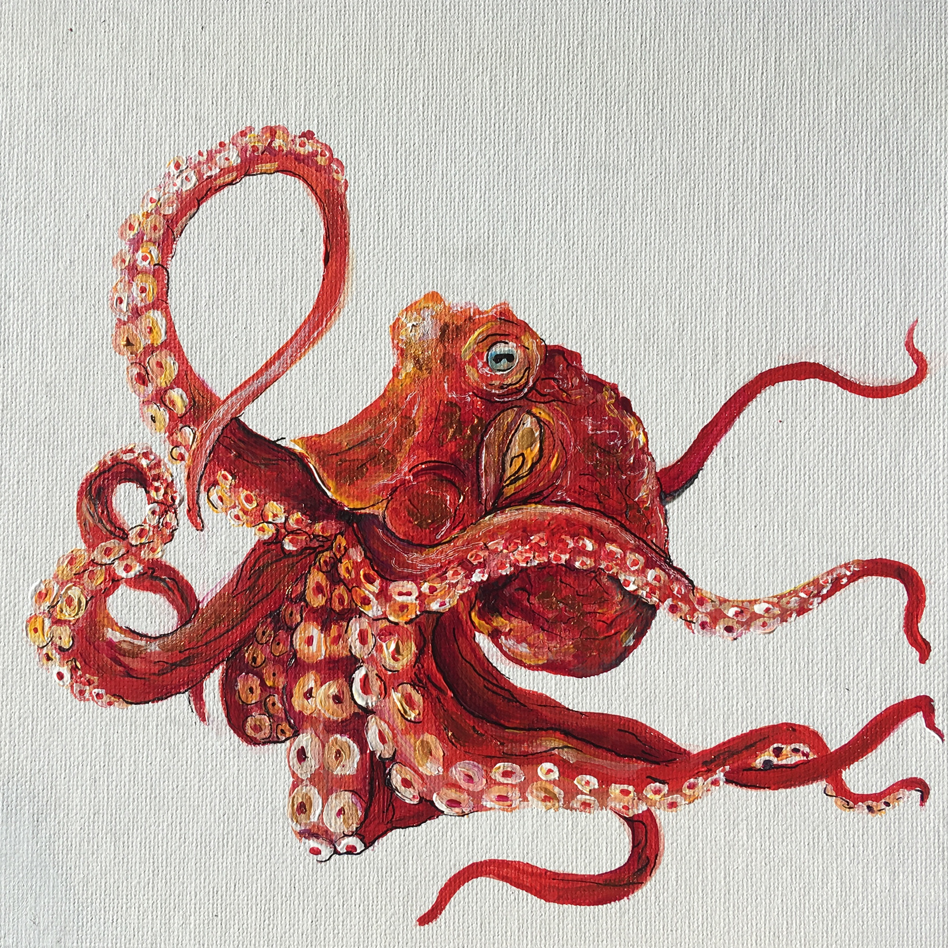 Giant Pacific octopus