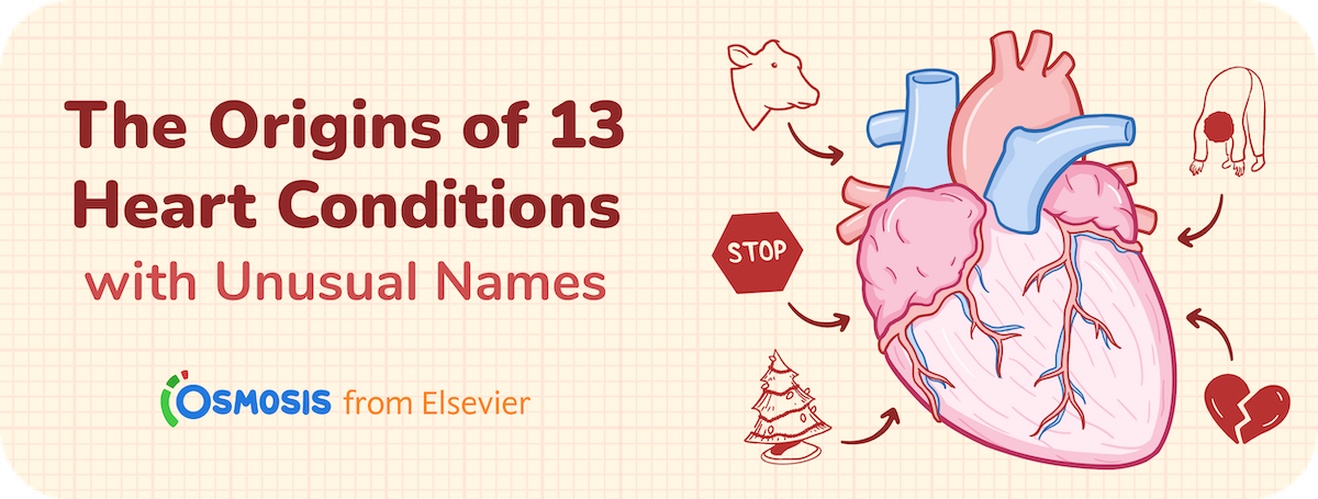 Graphic for blog and email banner.