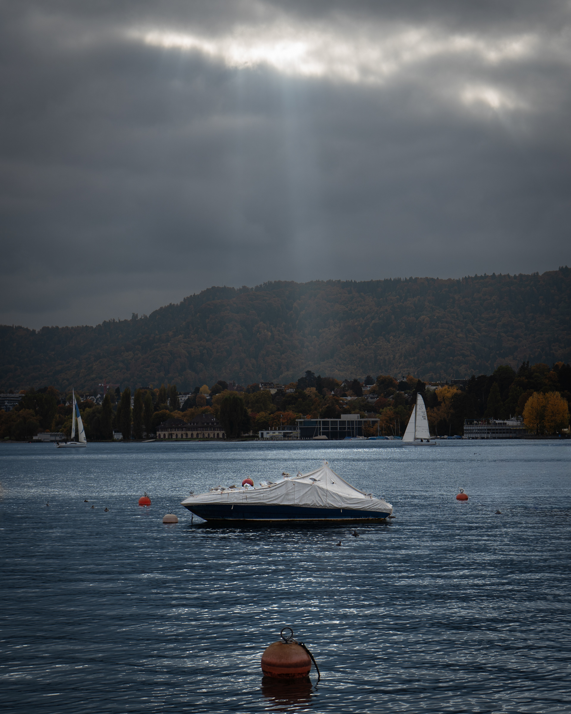 Lake Zurich, Switzerland - 10/25