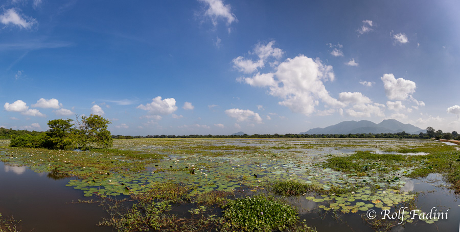 Sri Lanka 02