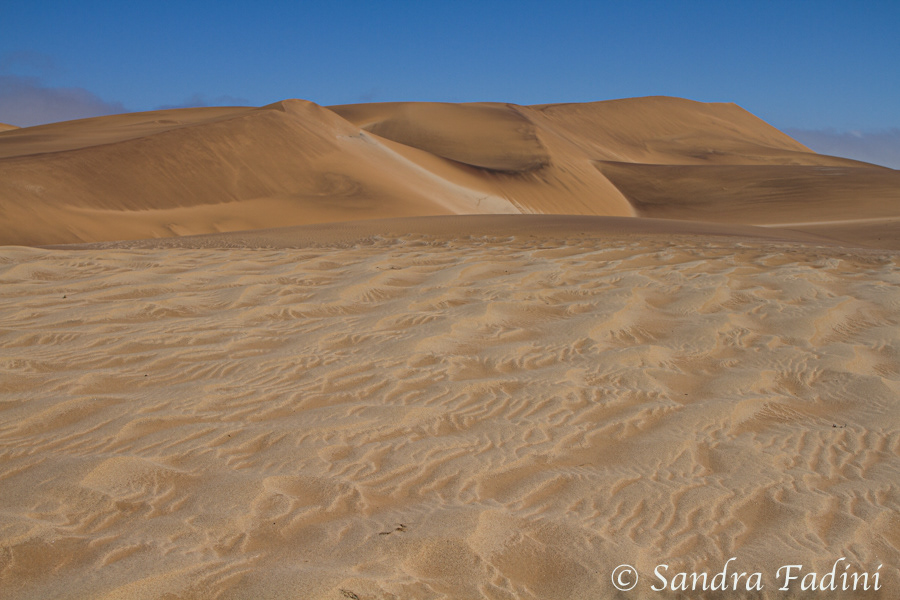 Namibia 28 - Namib Wüste