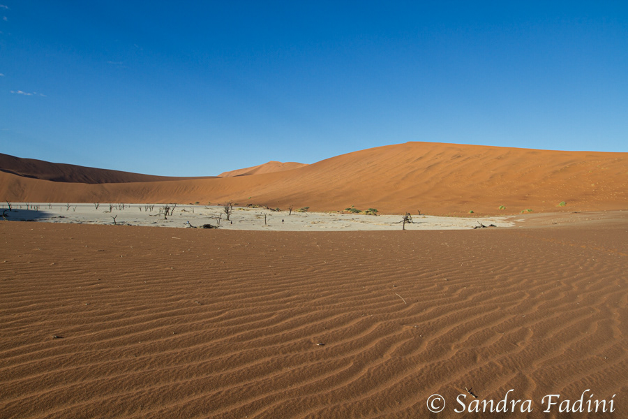 Namibia 15 - Namib Wüste