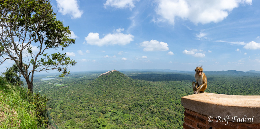 Sri Lanka 01
