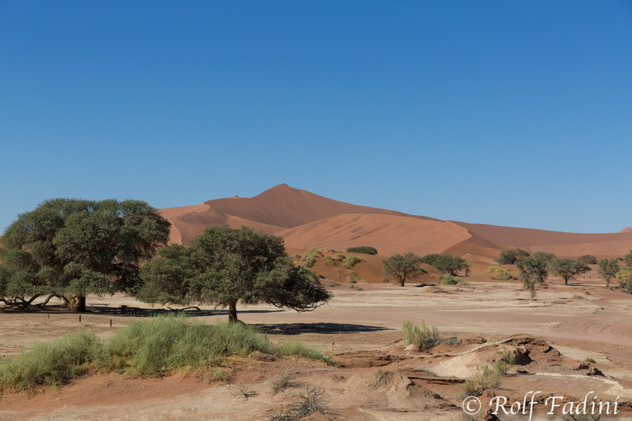 Namibia 19 - Namib Wüste