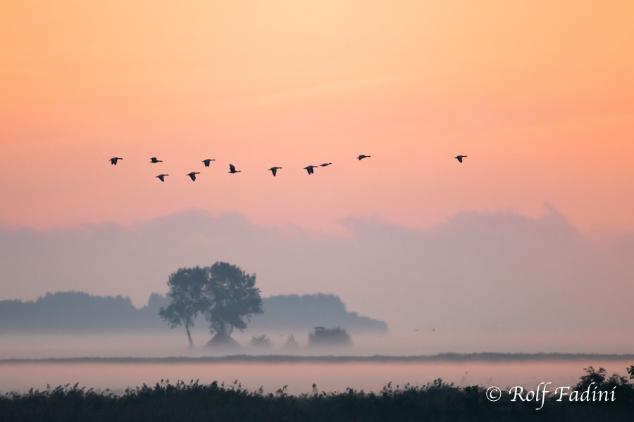 Mecklenburg-Vorpommern 06
