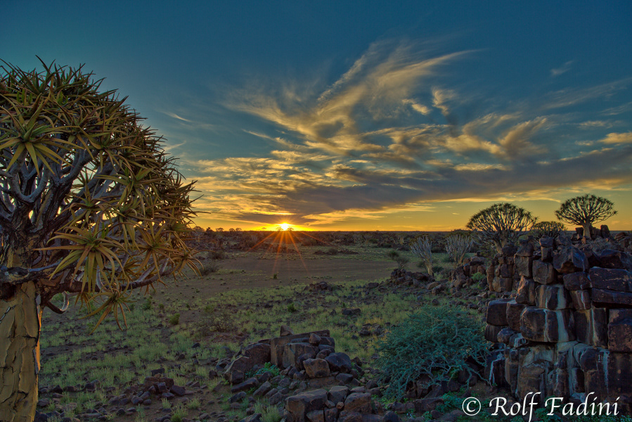 Namibia 02 - Köcherbaum (Aloe dichotoma) Sonnenuntergang