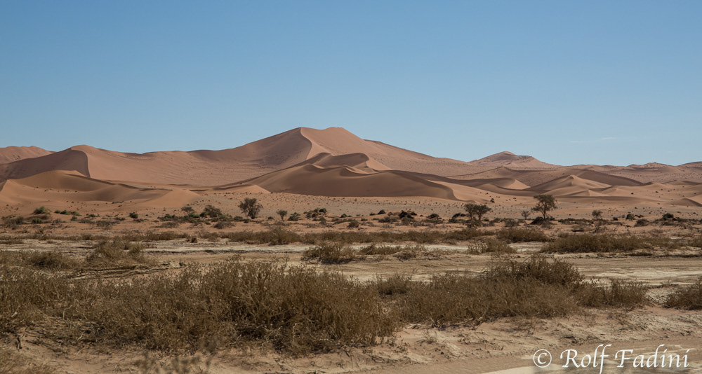 Namibia 16 - Namib Wüste