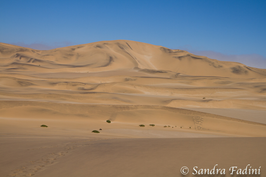 Namibia 30 - Namib Wüste