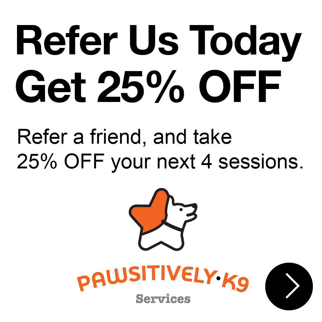 PK9 square display ad