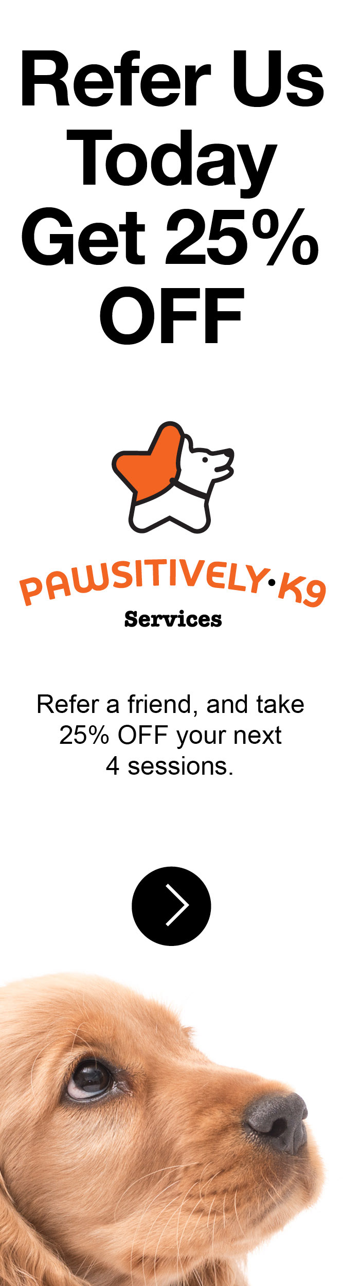 PK9 Skyscraper ad
