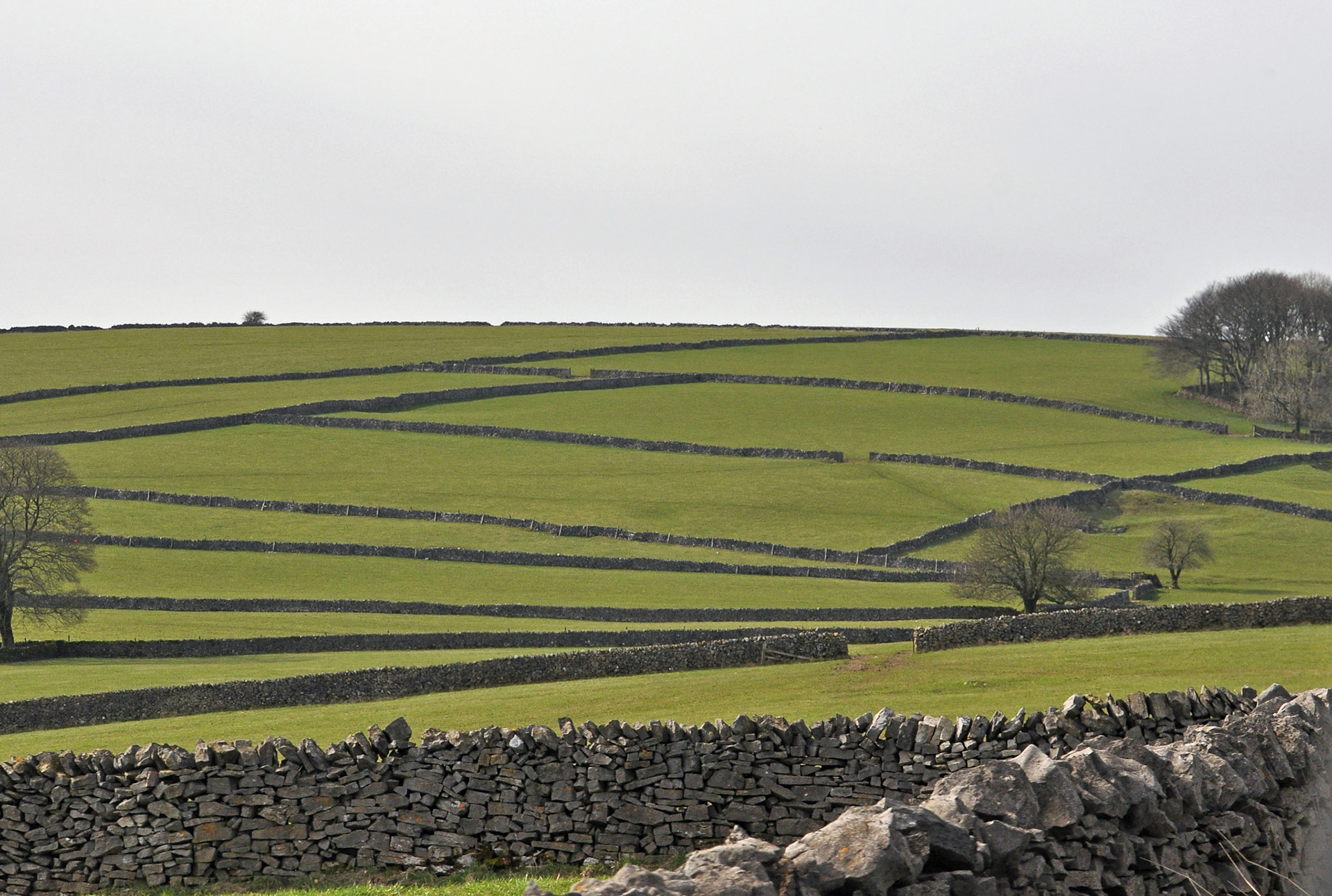 Walls Derbyshire