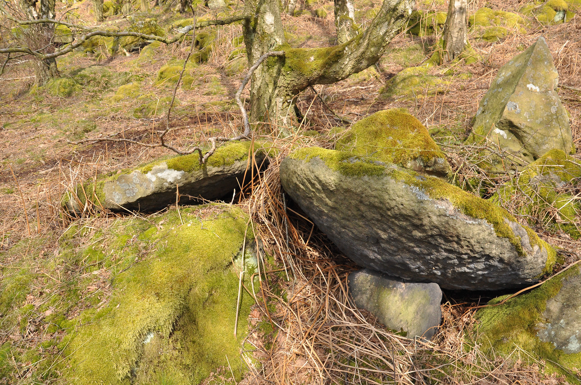 Derbyshire
