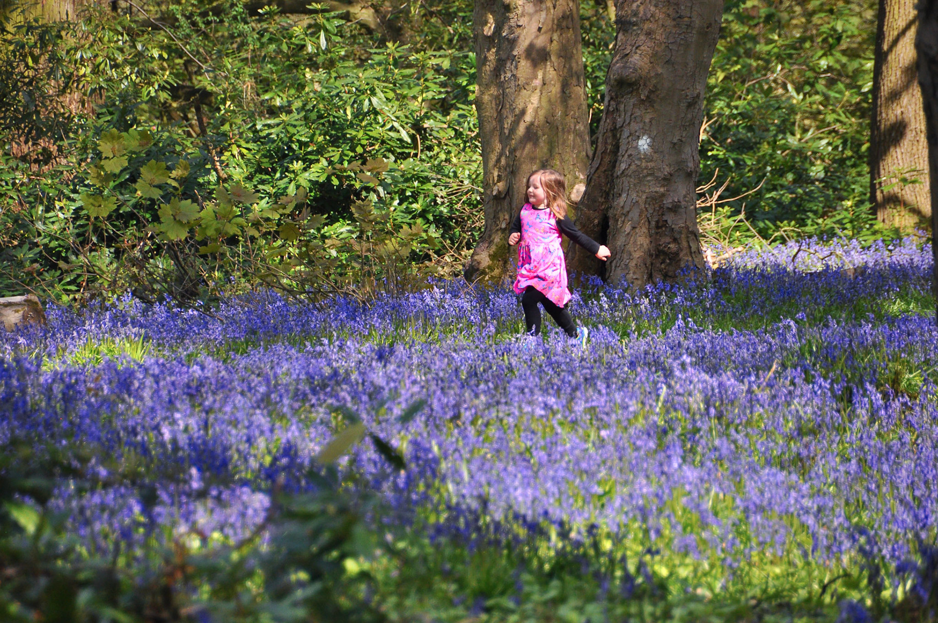 Running in bluebells