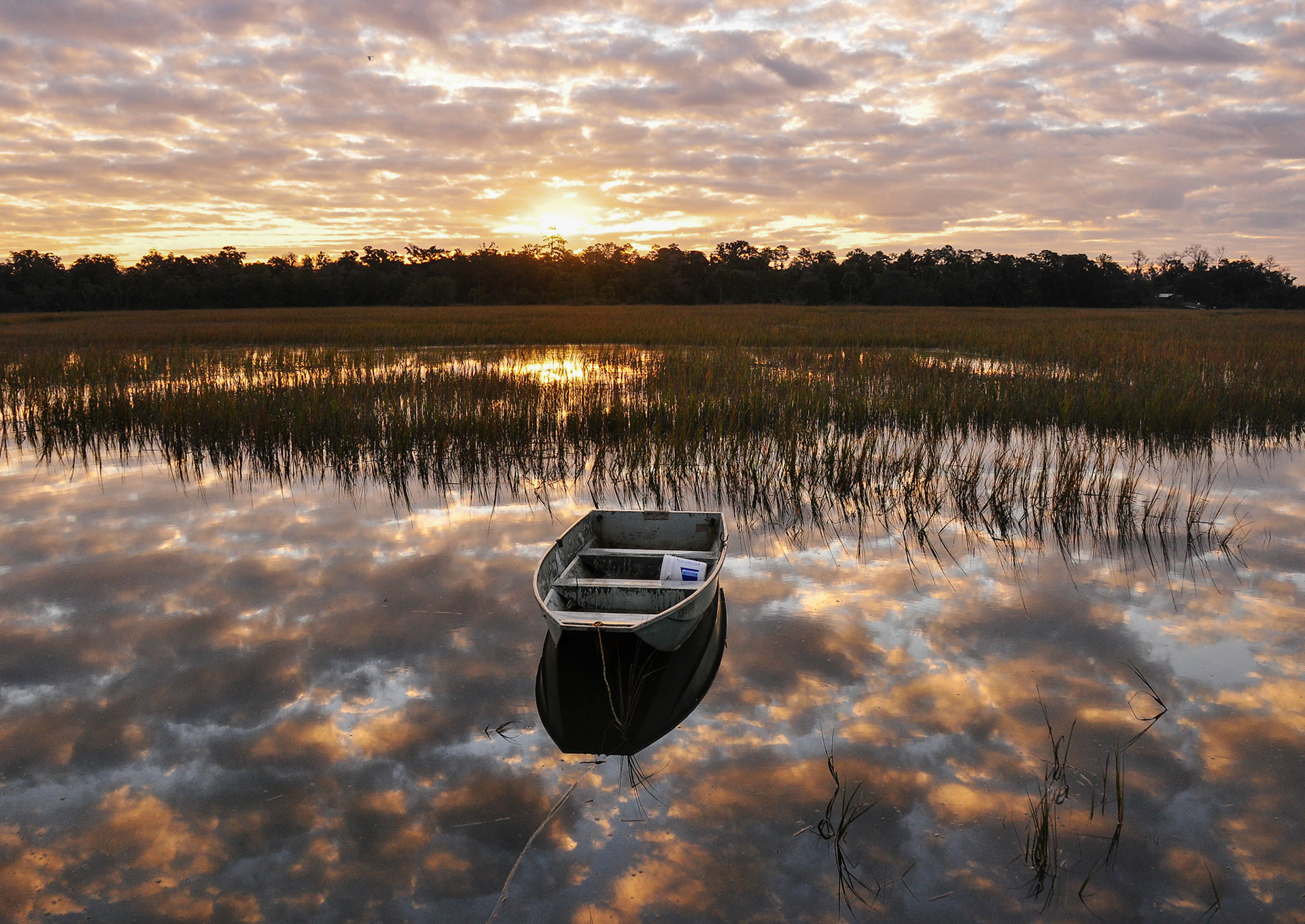 High tide in the morning
