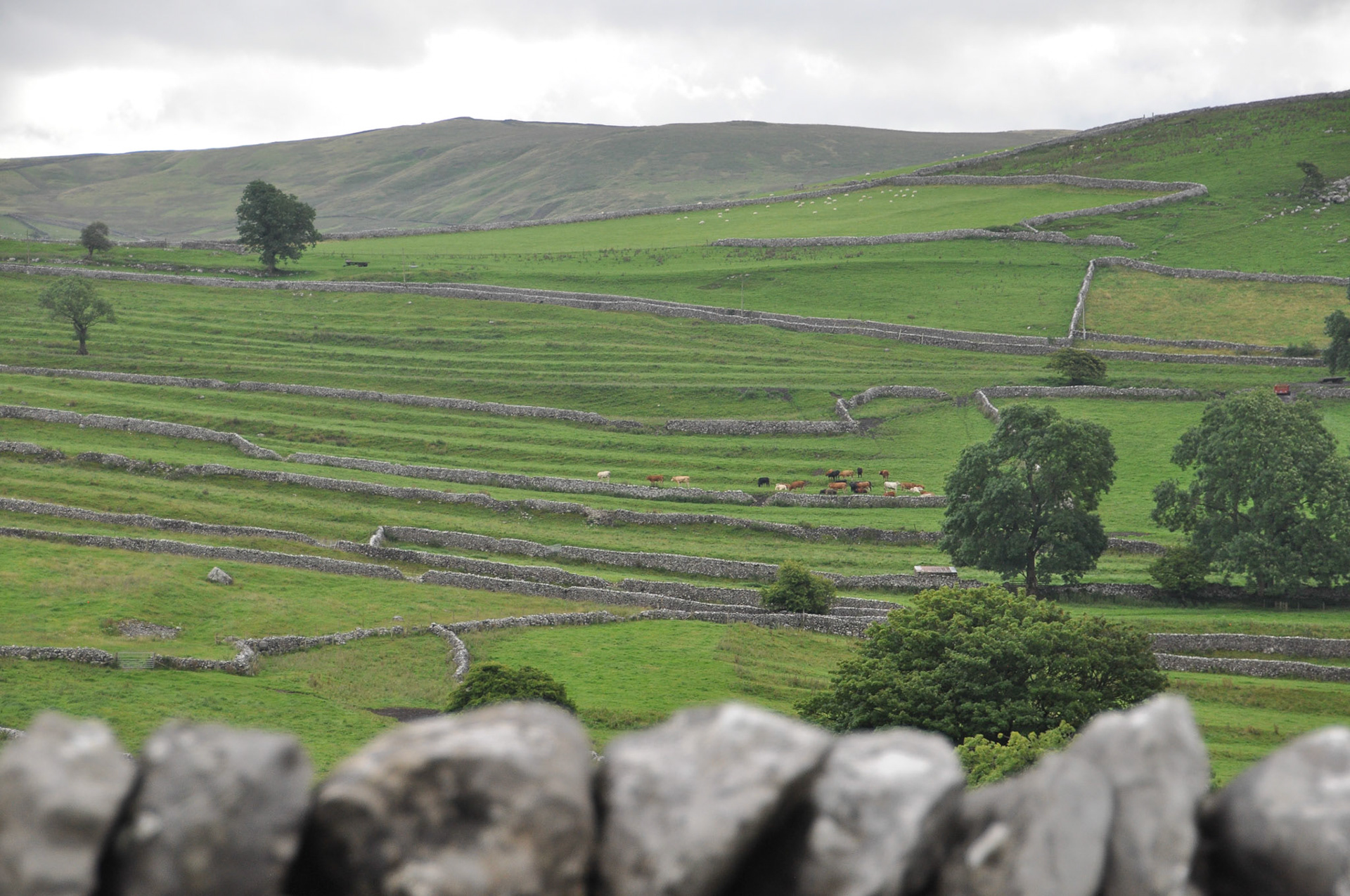 Walls Derbyshire