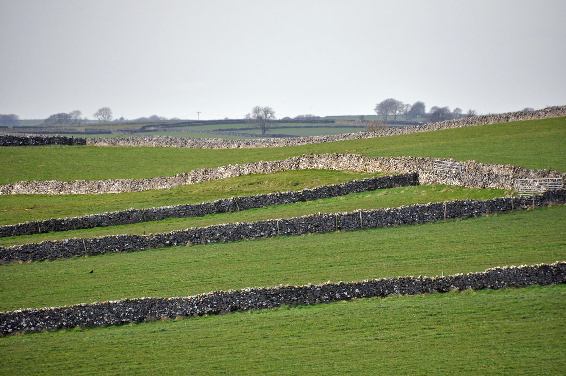 Walls Derbyshire