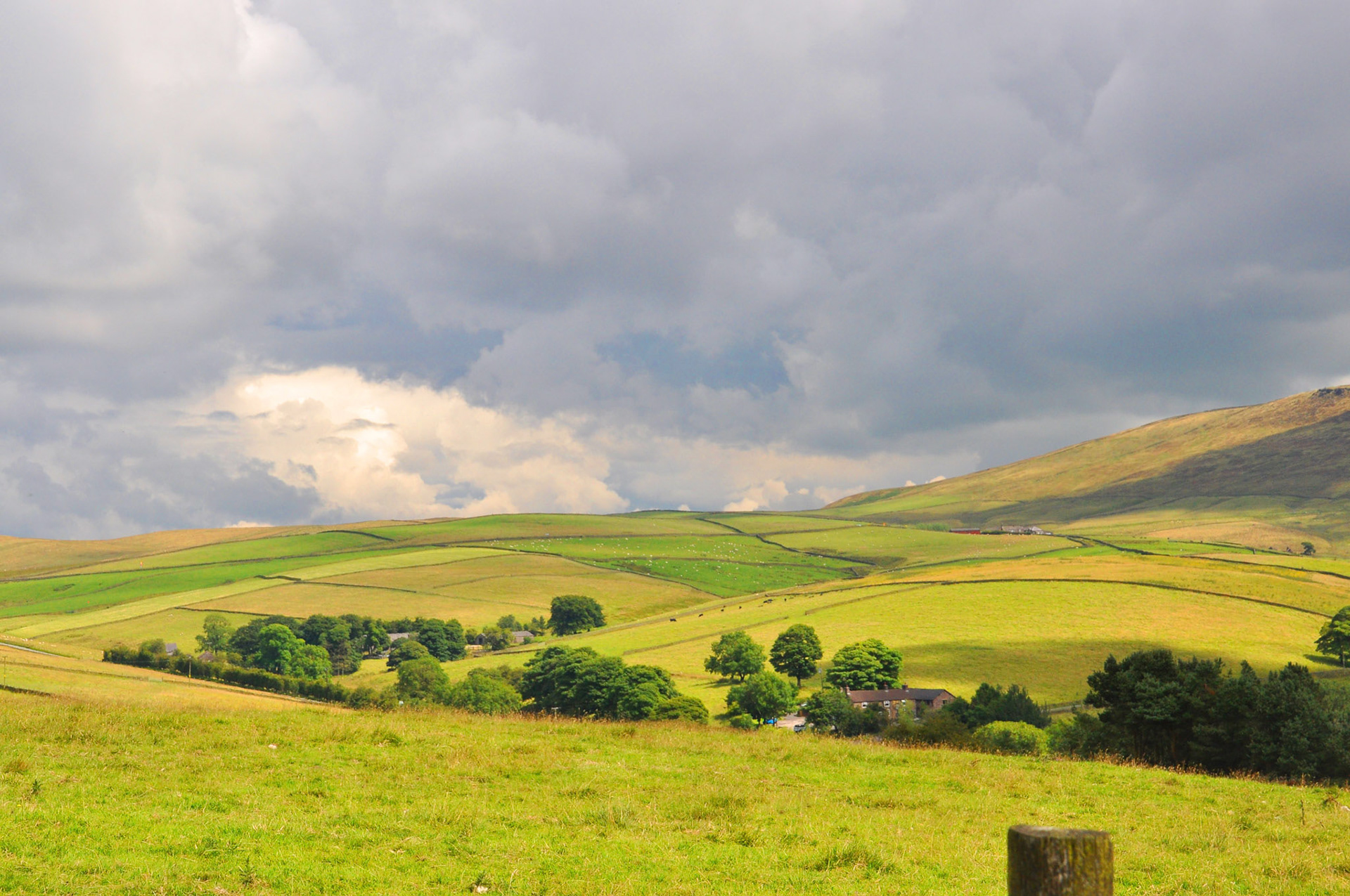 From Macclesfield Forest
