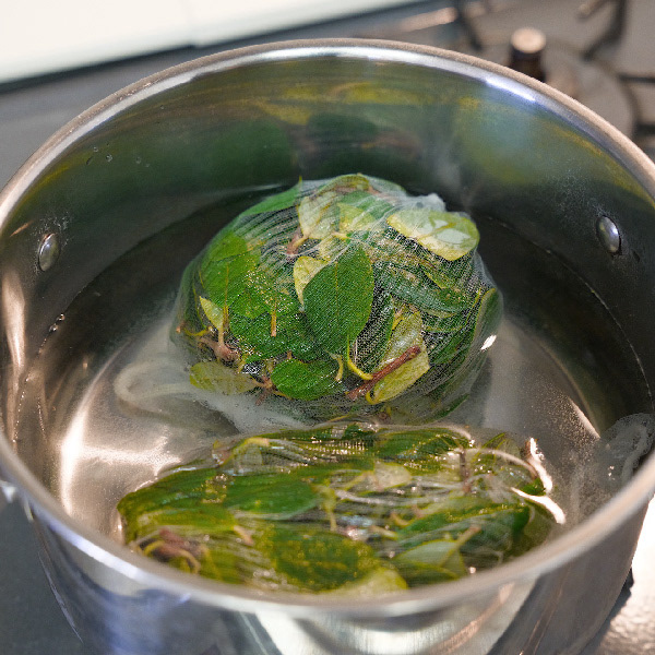 植物投入