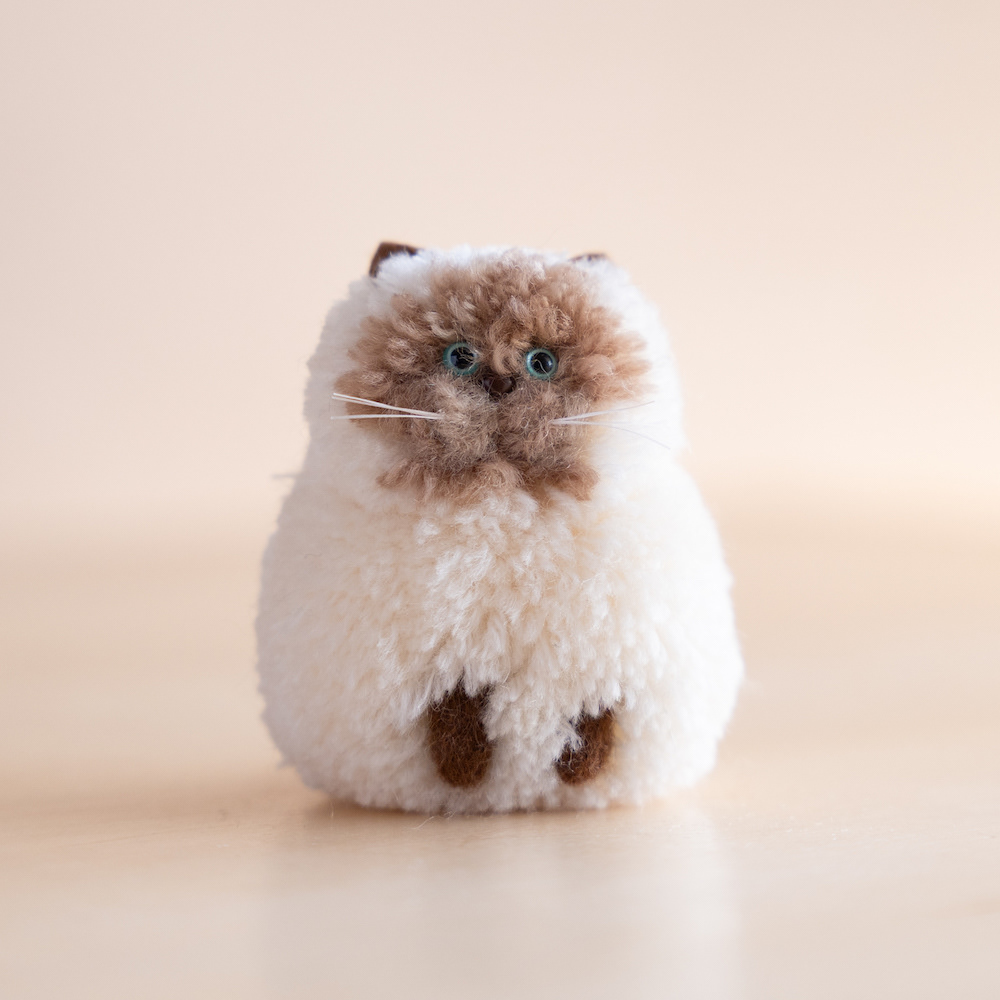 シャム　おすわり