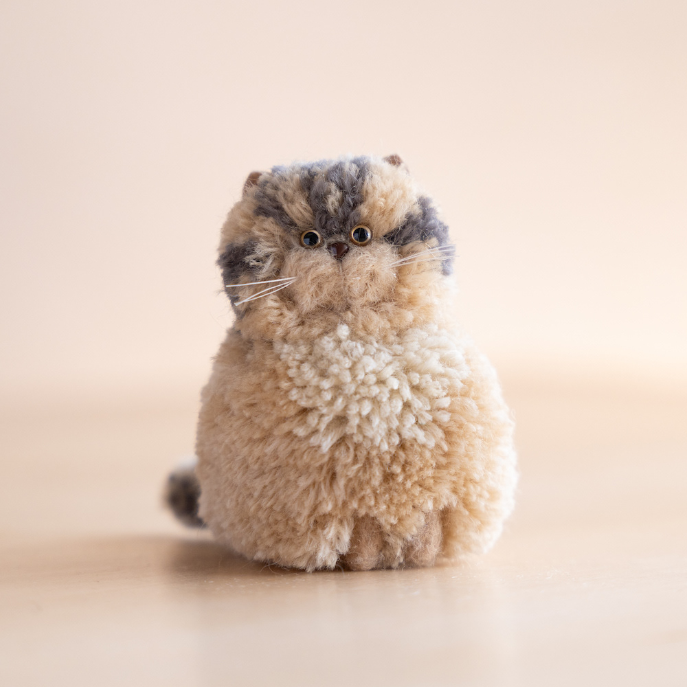 キジトラ　おすわり