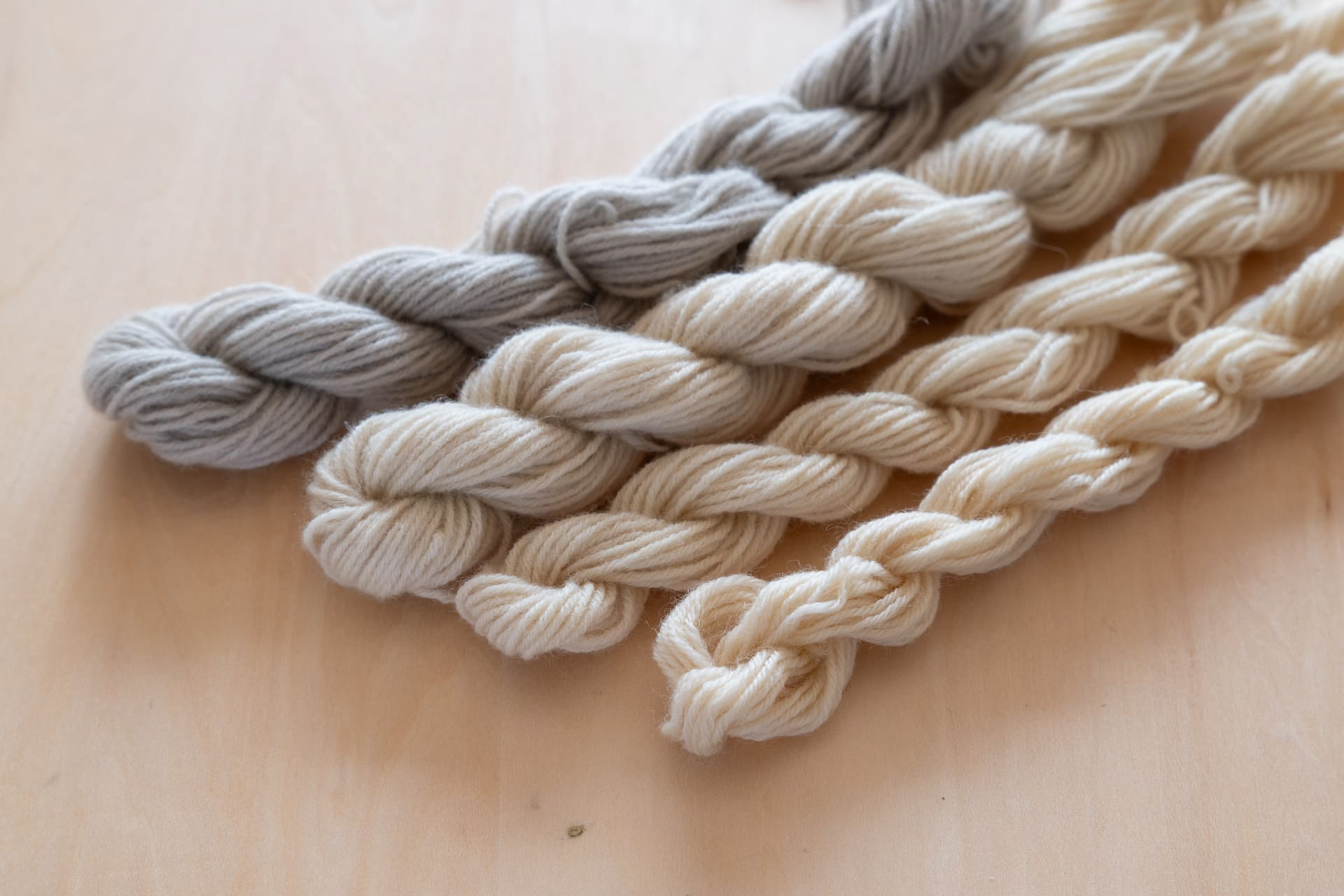 シマトネリコ　鉄・銅・アルミ　媒染