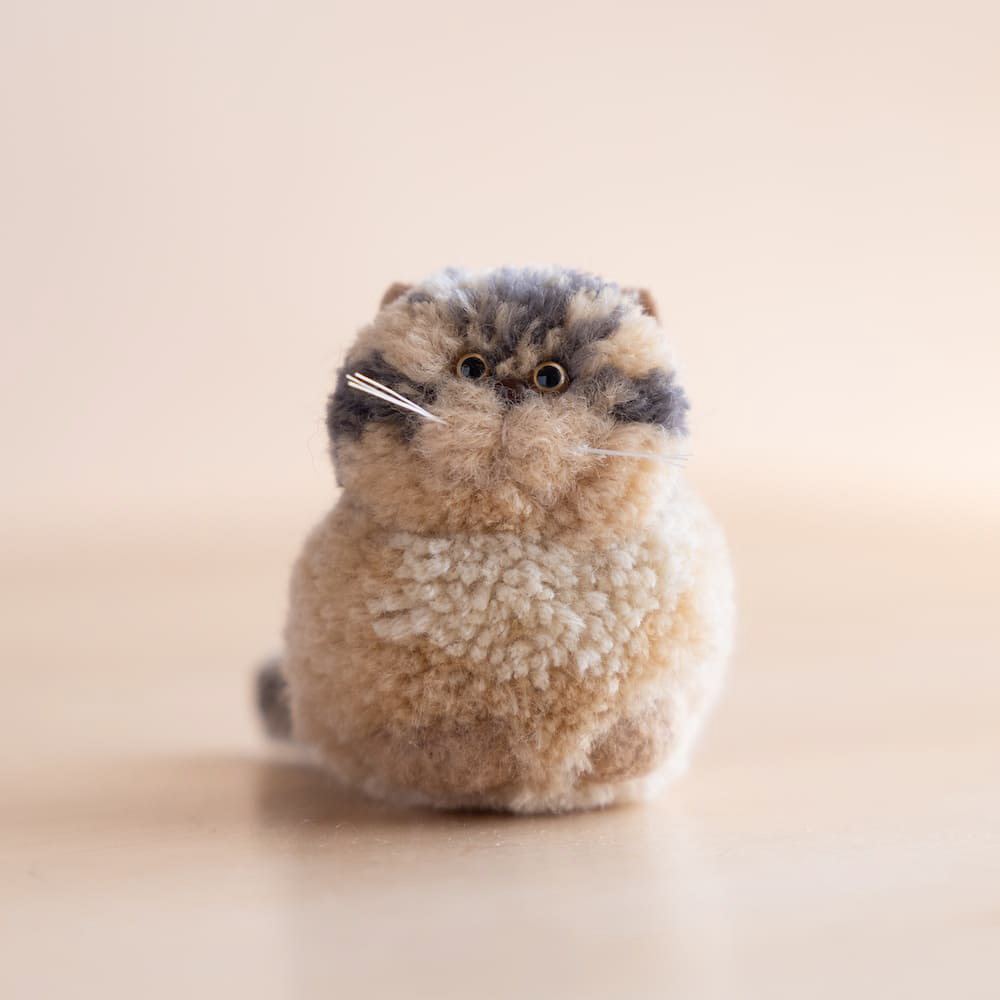 キジトラ　香箱座り