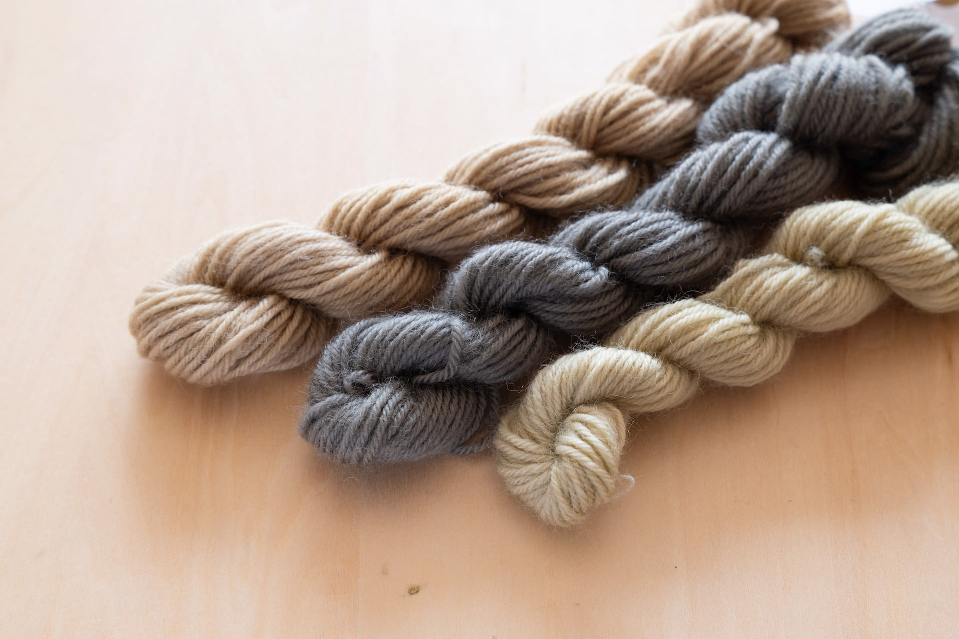 ローズマリー　アルミ・鉄・銅　媒染