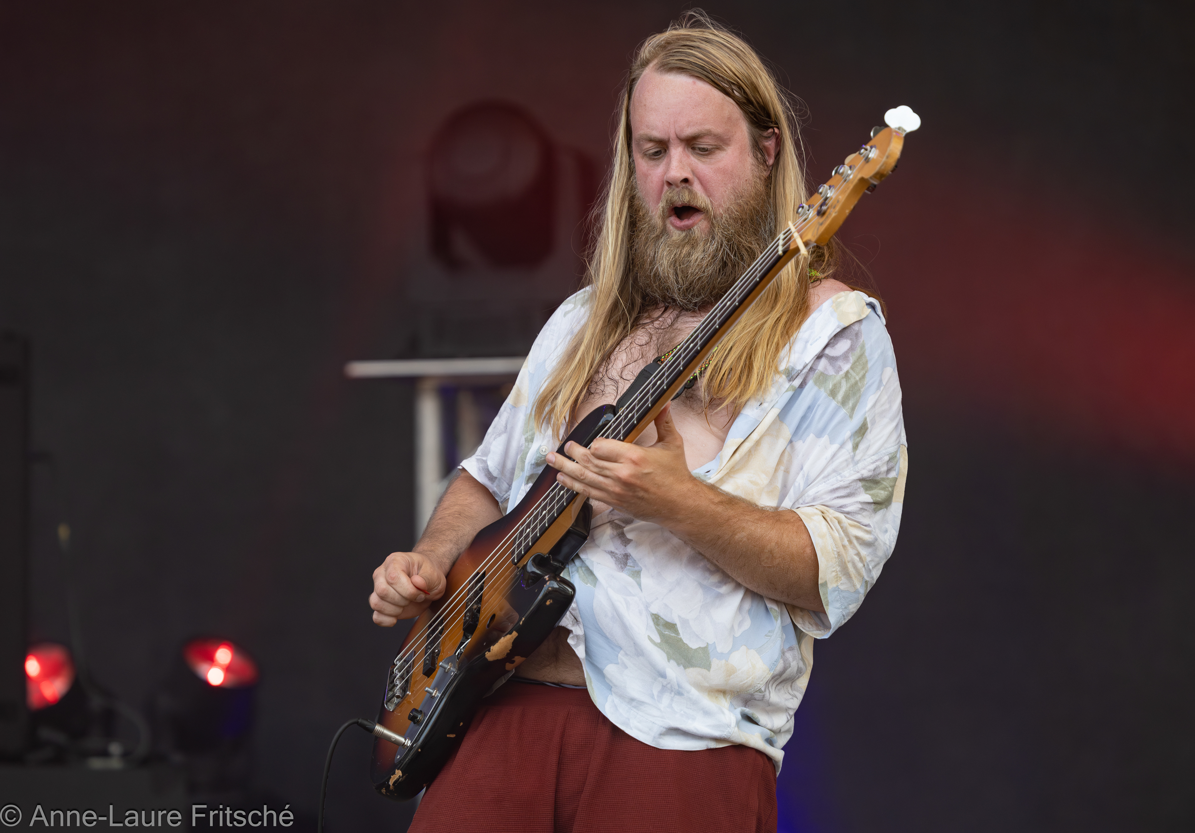 Robert Hansen - Beardfish