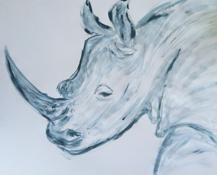 $54 - Rhino