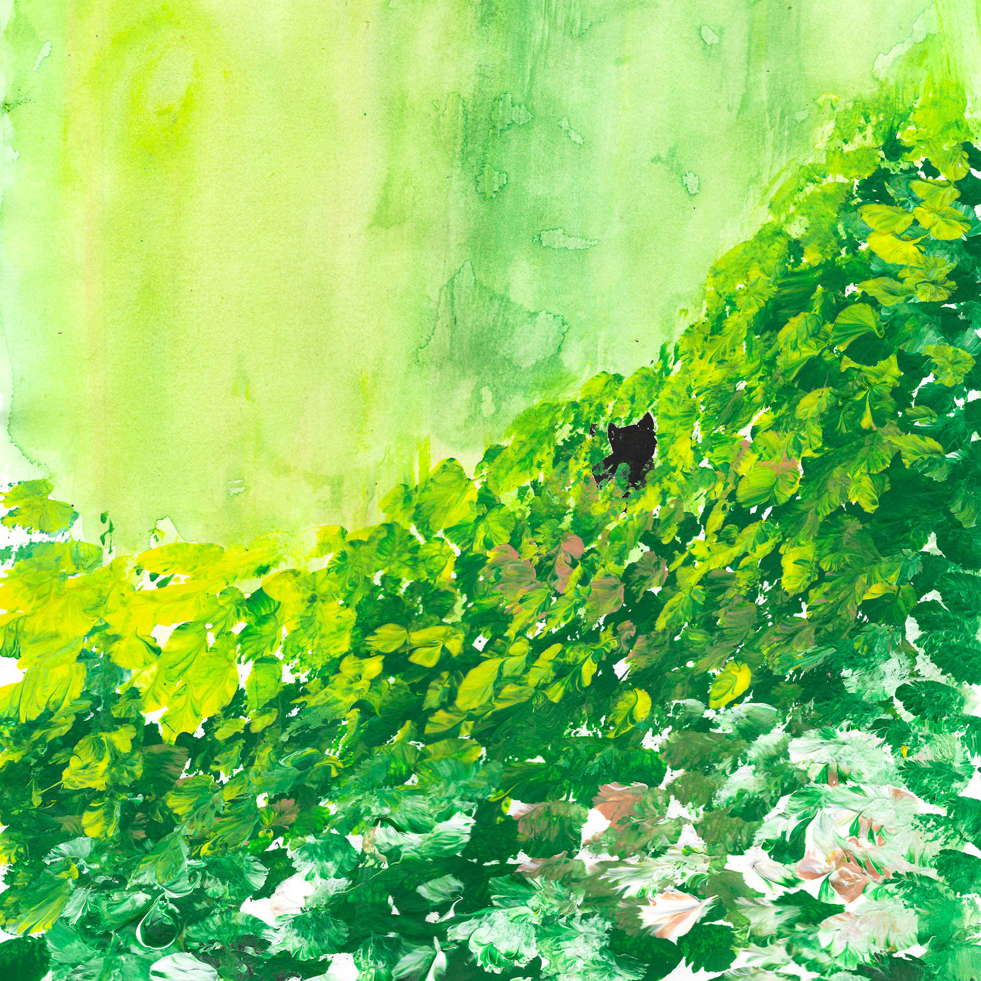 Sold - Sedivo Cat