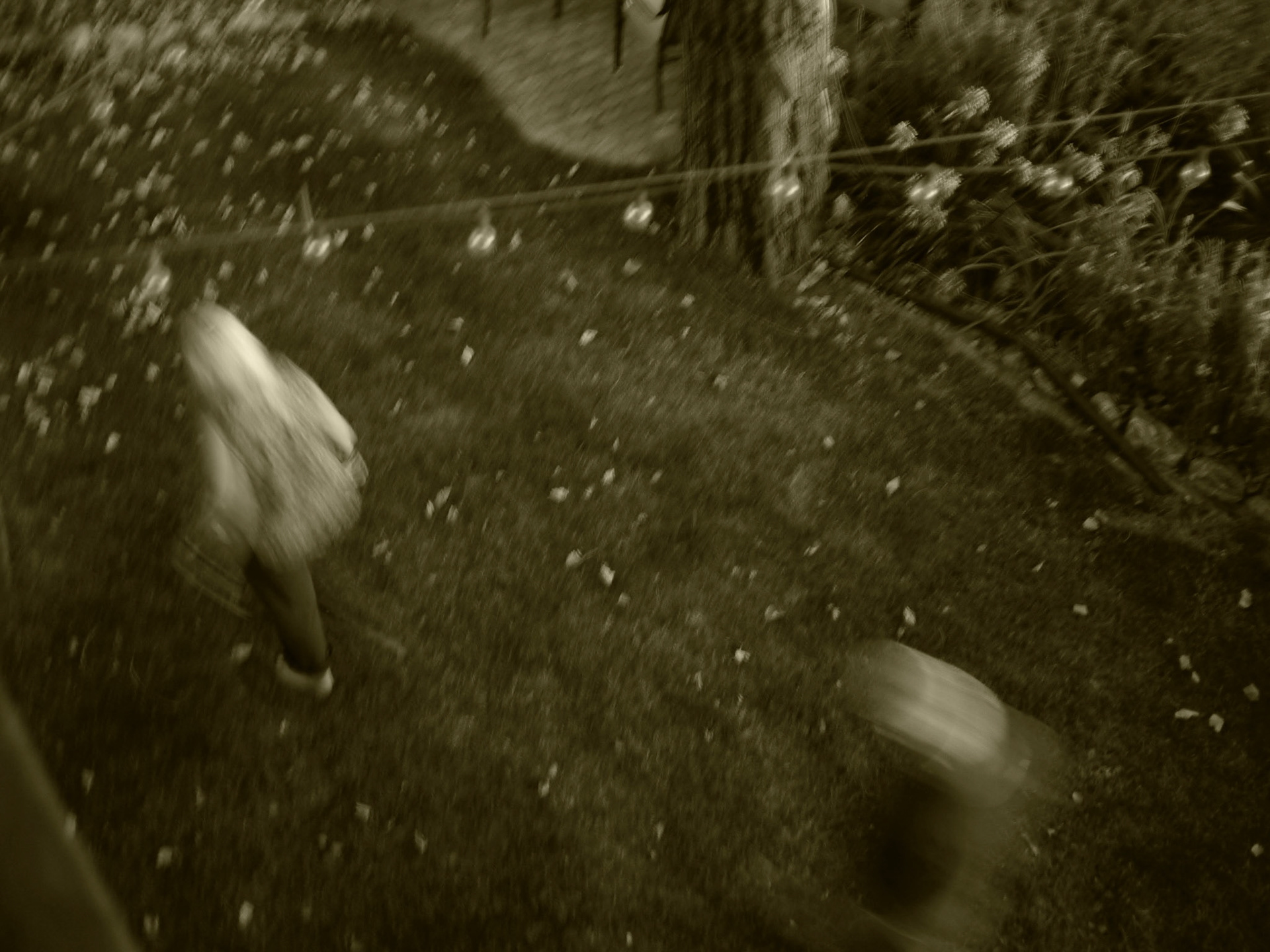 P1010980.JPG