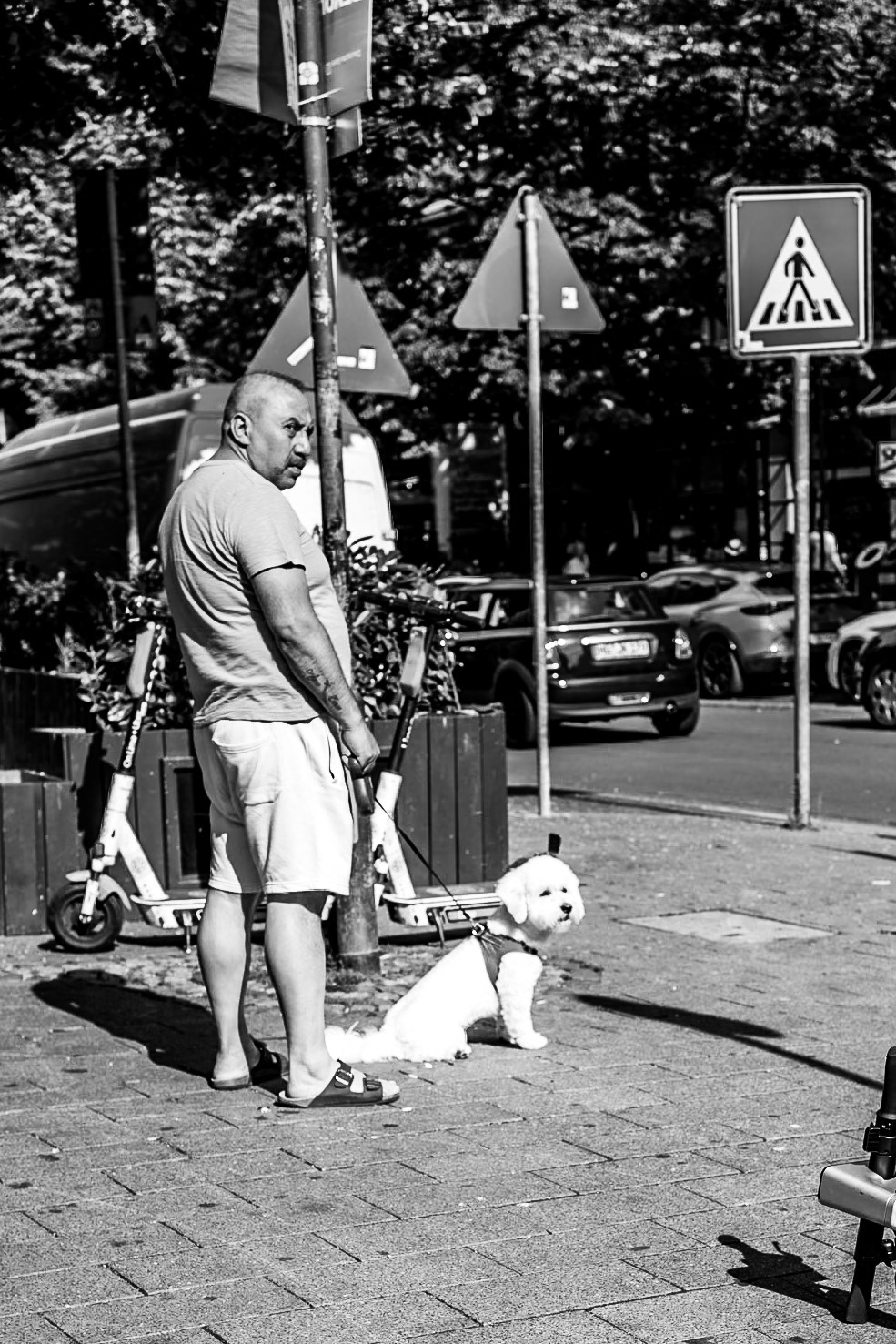olis_shots05:07pm #frankfurt #germany “Bahnhofsviertel” by @olis_shots as part of the #24hourproject to support Children’s Rights and raise funds for @ResponsibleCharity. For more information visit @24HourProject#24hr21 #24hr21_frankfurt #24hr21_germany #streetphotography #bahnhofsviertel #dog