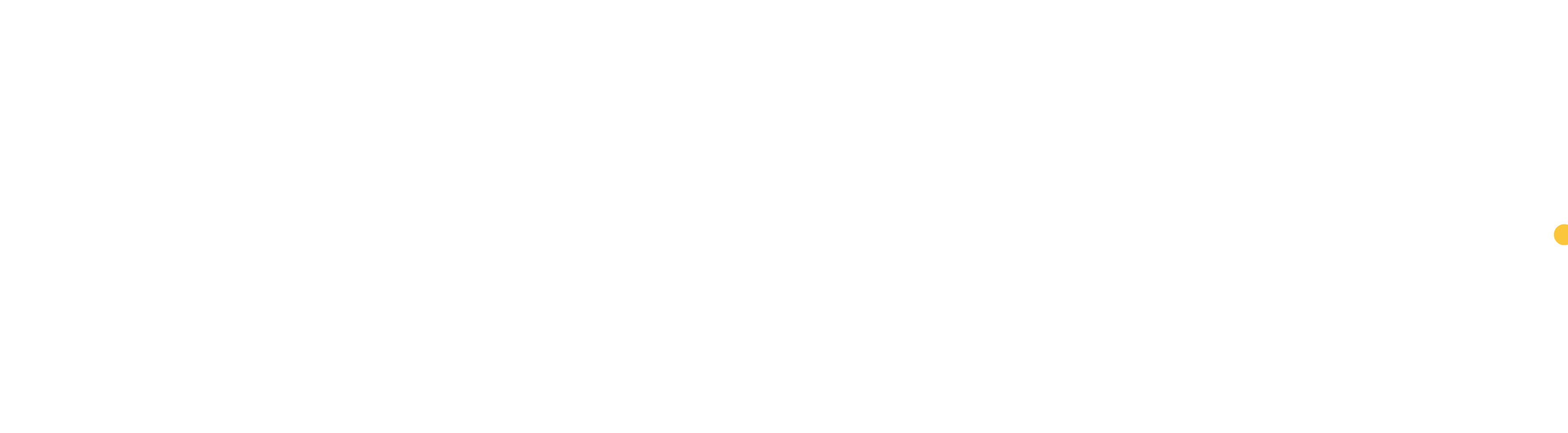 Larissa Braga