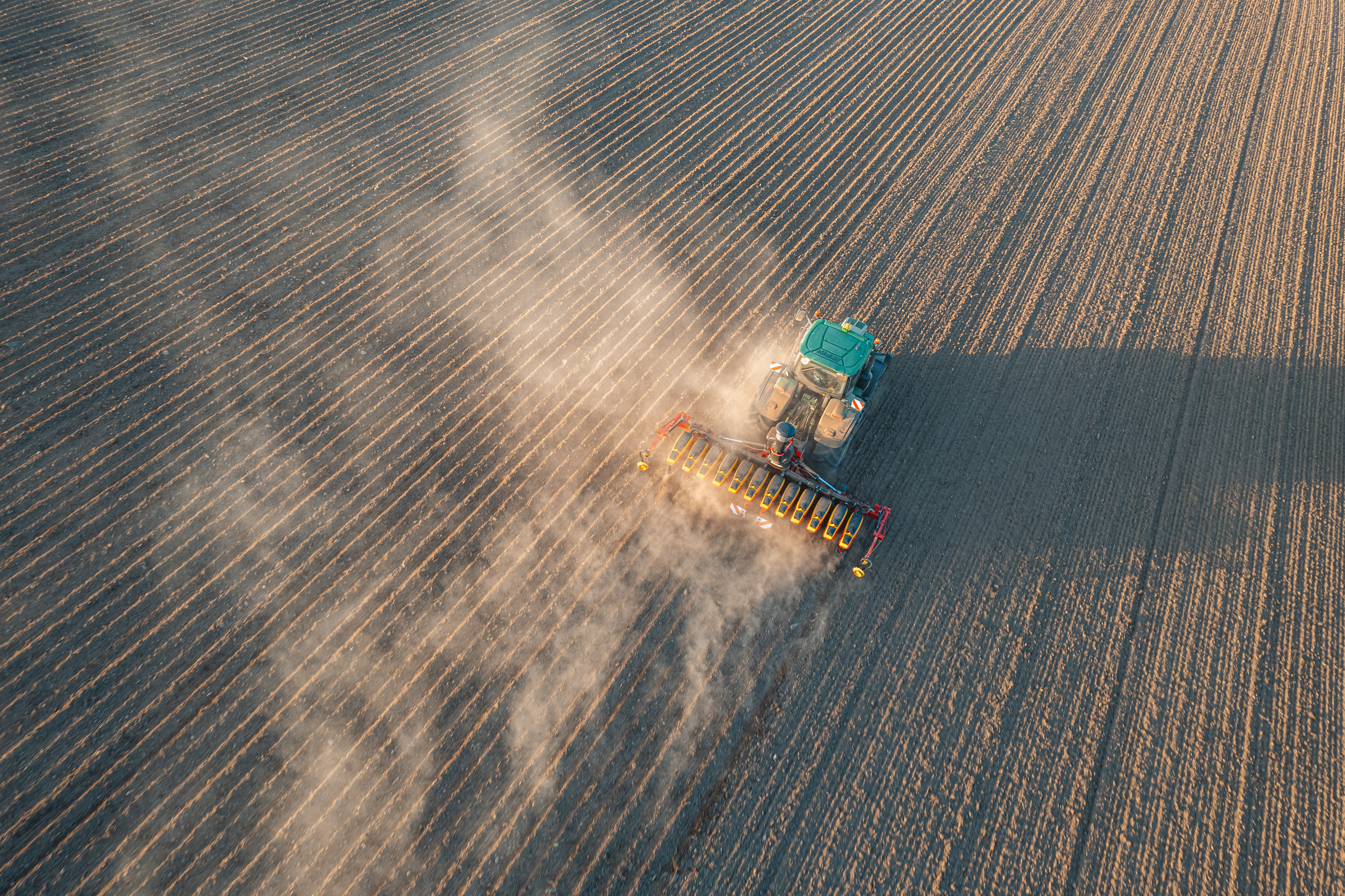 Rapssaat mit der Väderstad Tempo V12 WSX