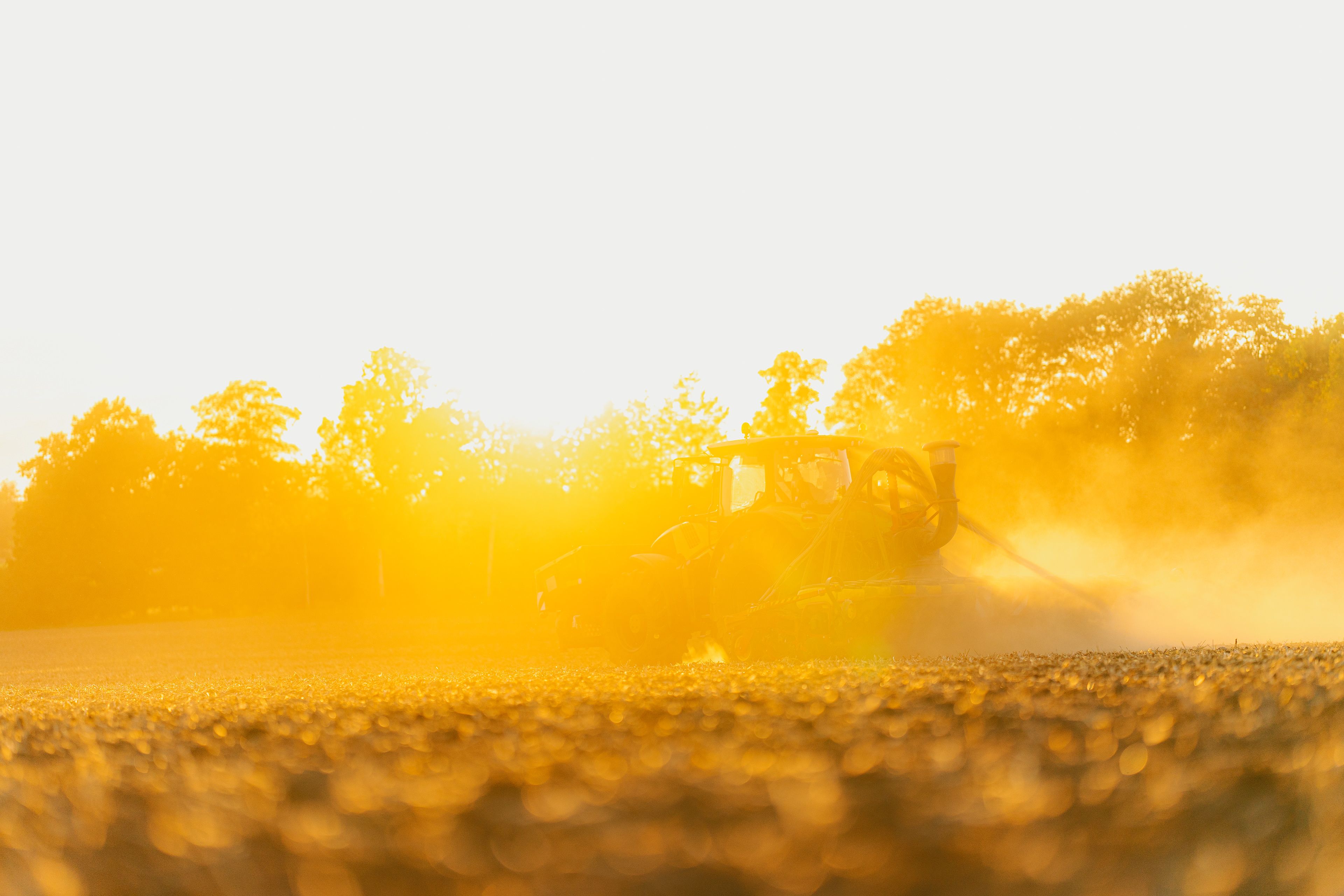 Rapssaat bei der von Waldenfels´sche Gutsverwaltung
