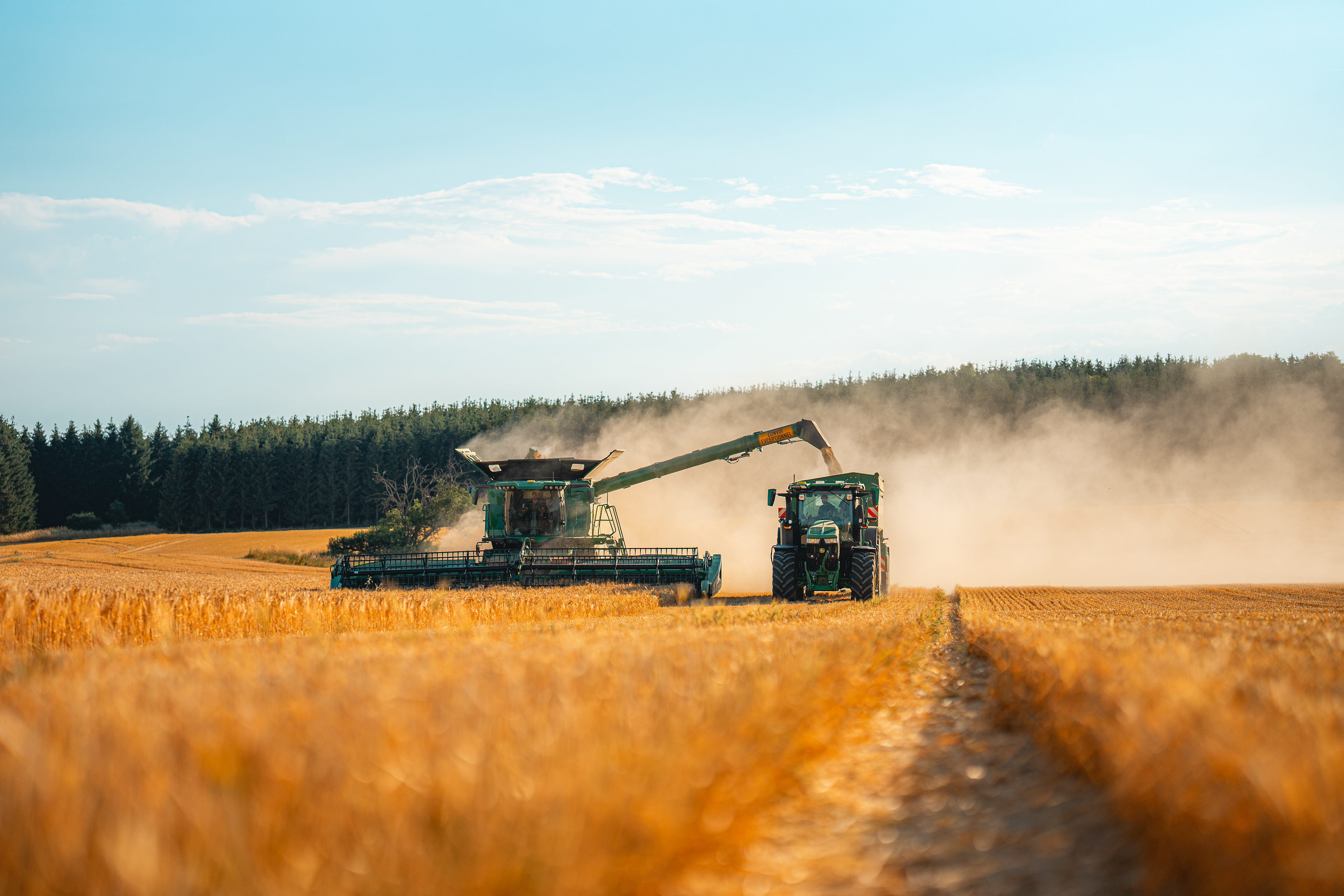Ernte bei der von Waldenfels´sche Gutsverwaltung