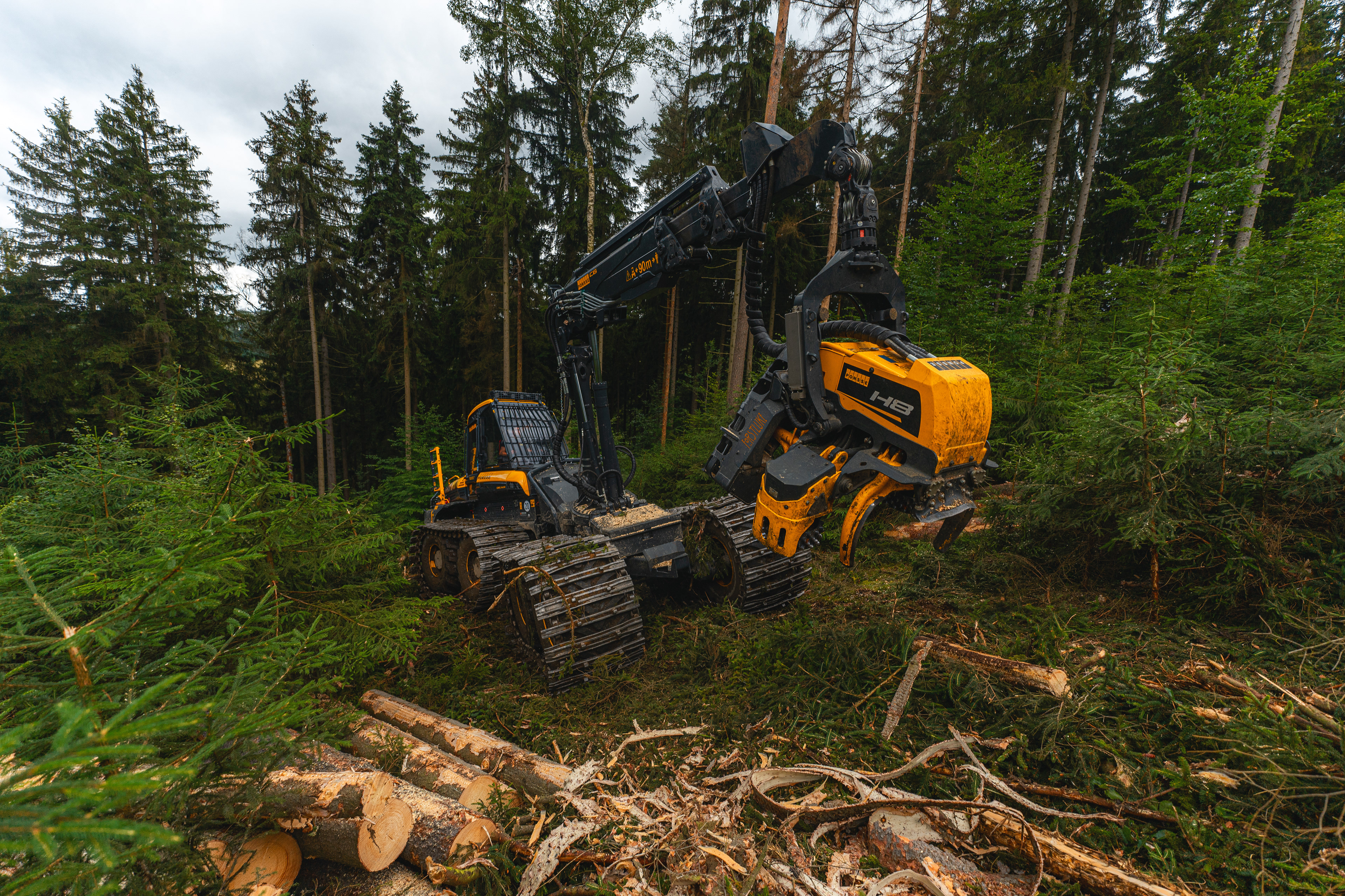 Ponsse Bear bei Wald Jacob