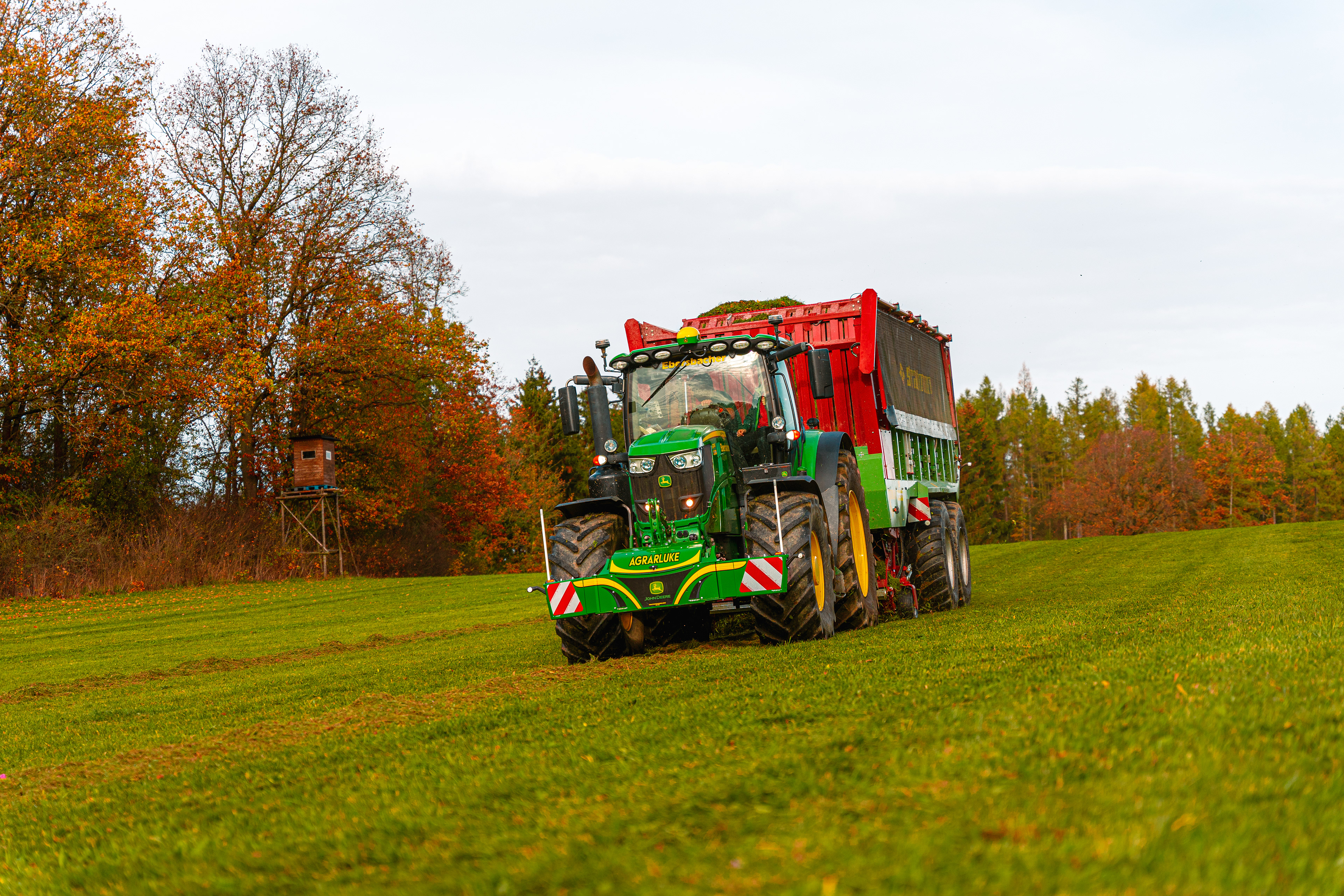 DIE EBERSBACHER im Grünland