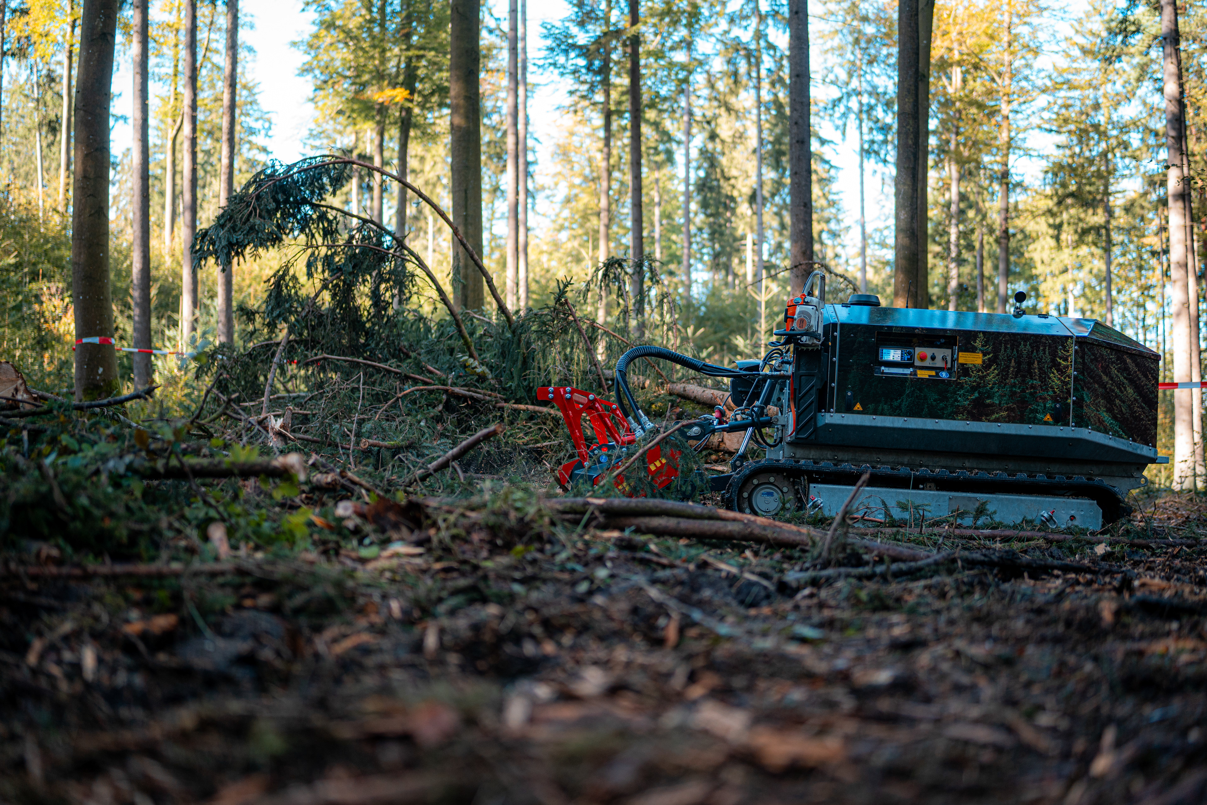 Unterreiner Forstraupe