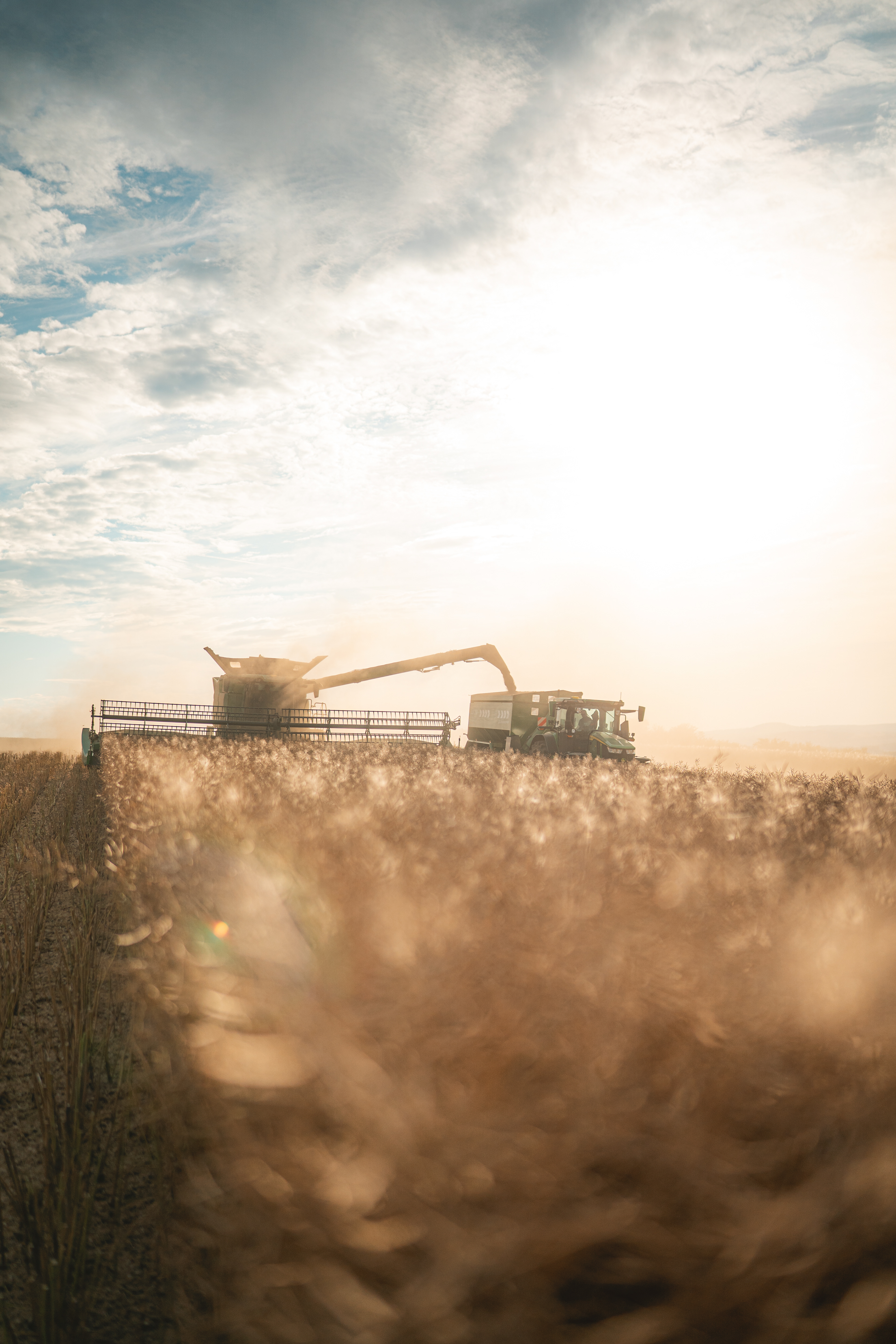 von Waldenfels'sche Gutsverwaltung