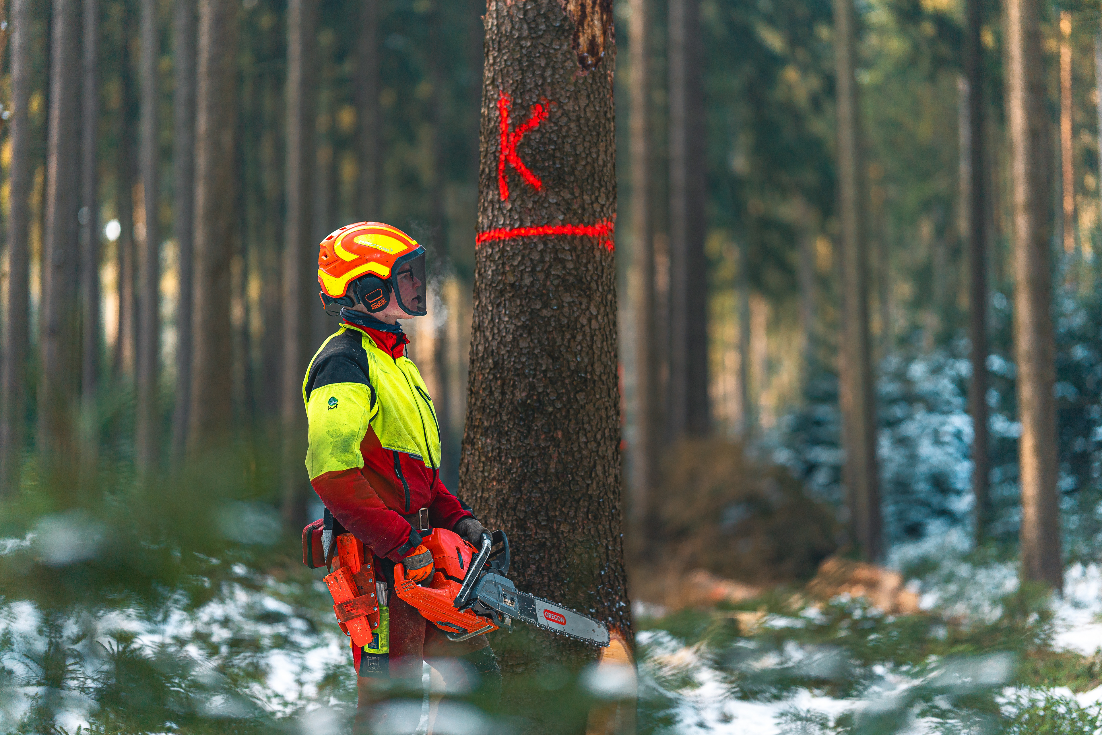 Zufällung im Sachsenforst