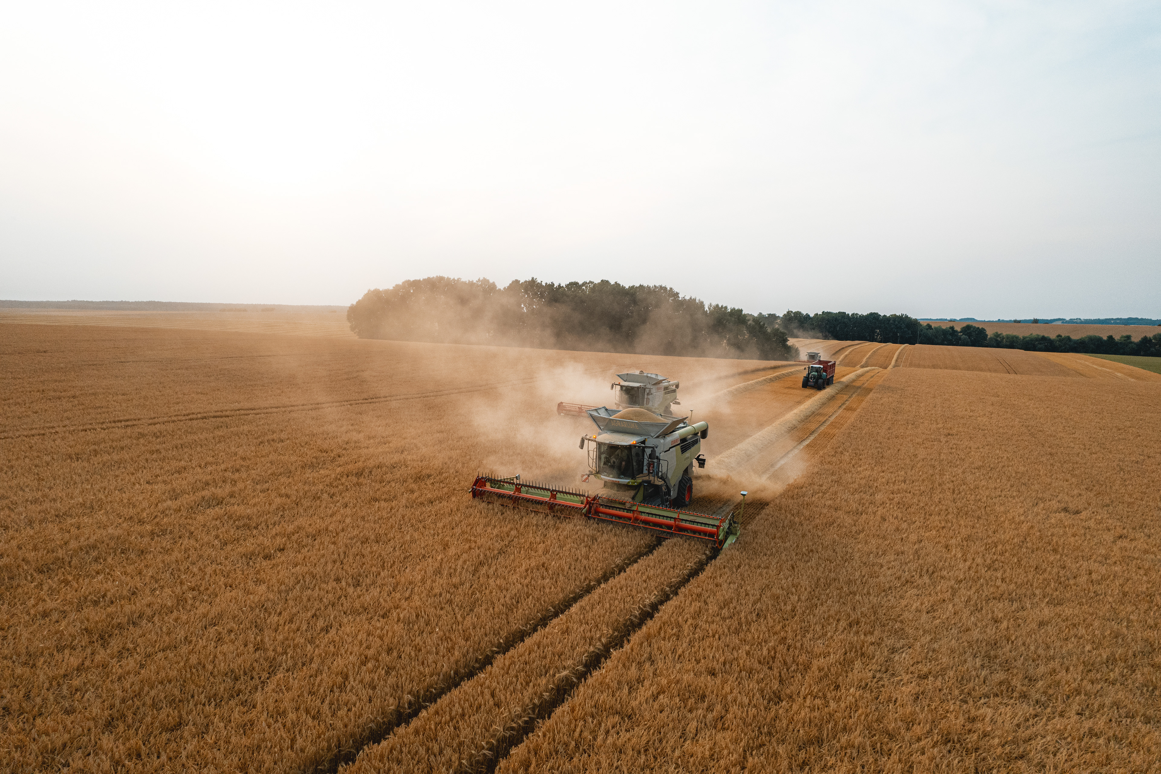 Agrarhof Gospersgrün