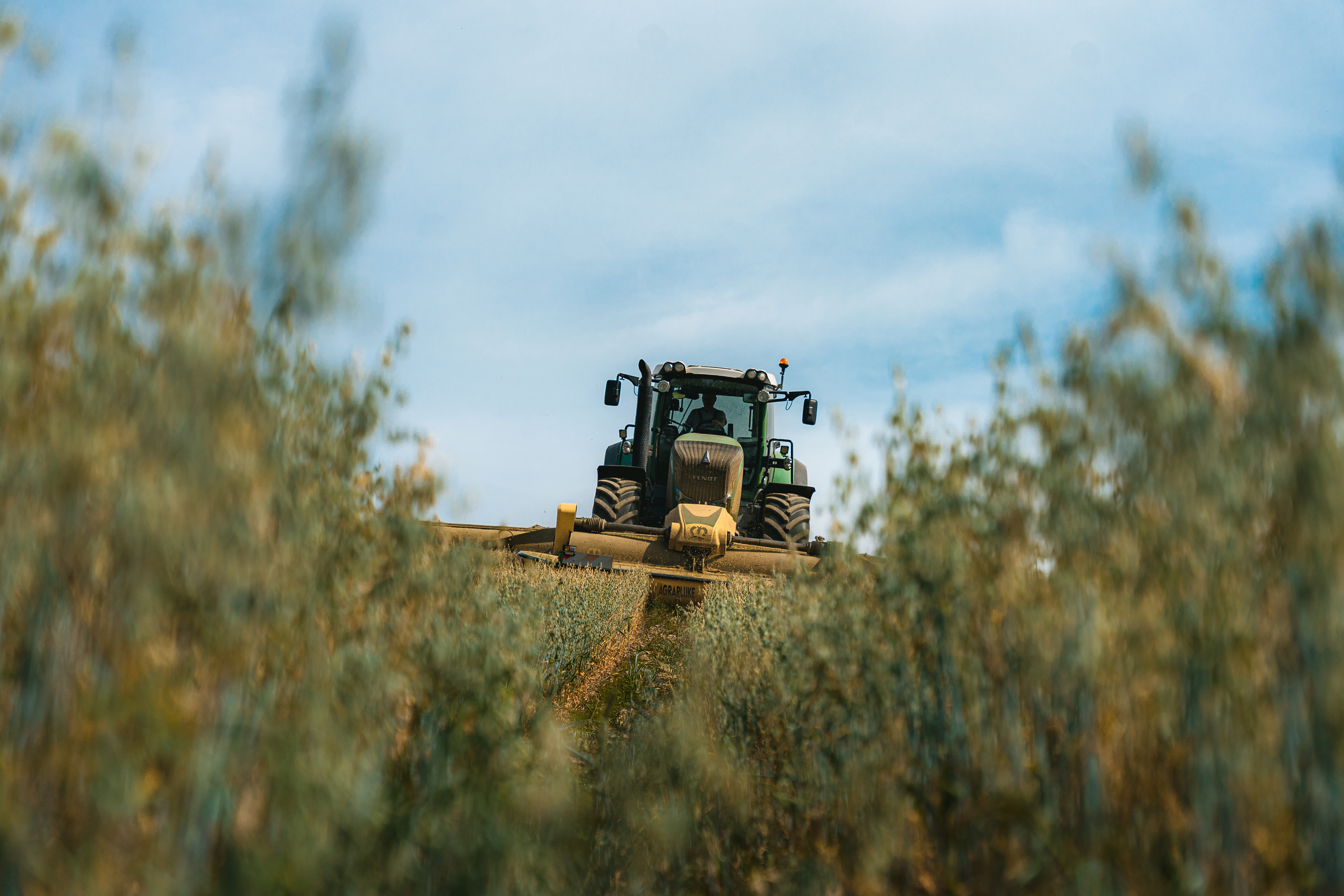 Ganzpflanzensilage bei der Agrargenossenschaft Bobenneukirche